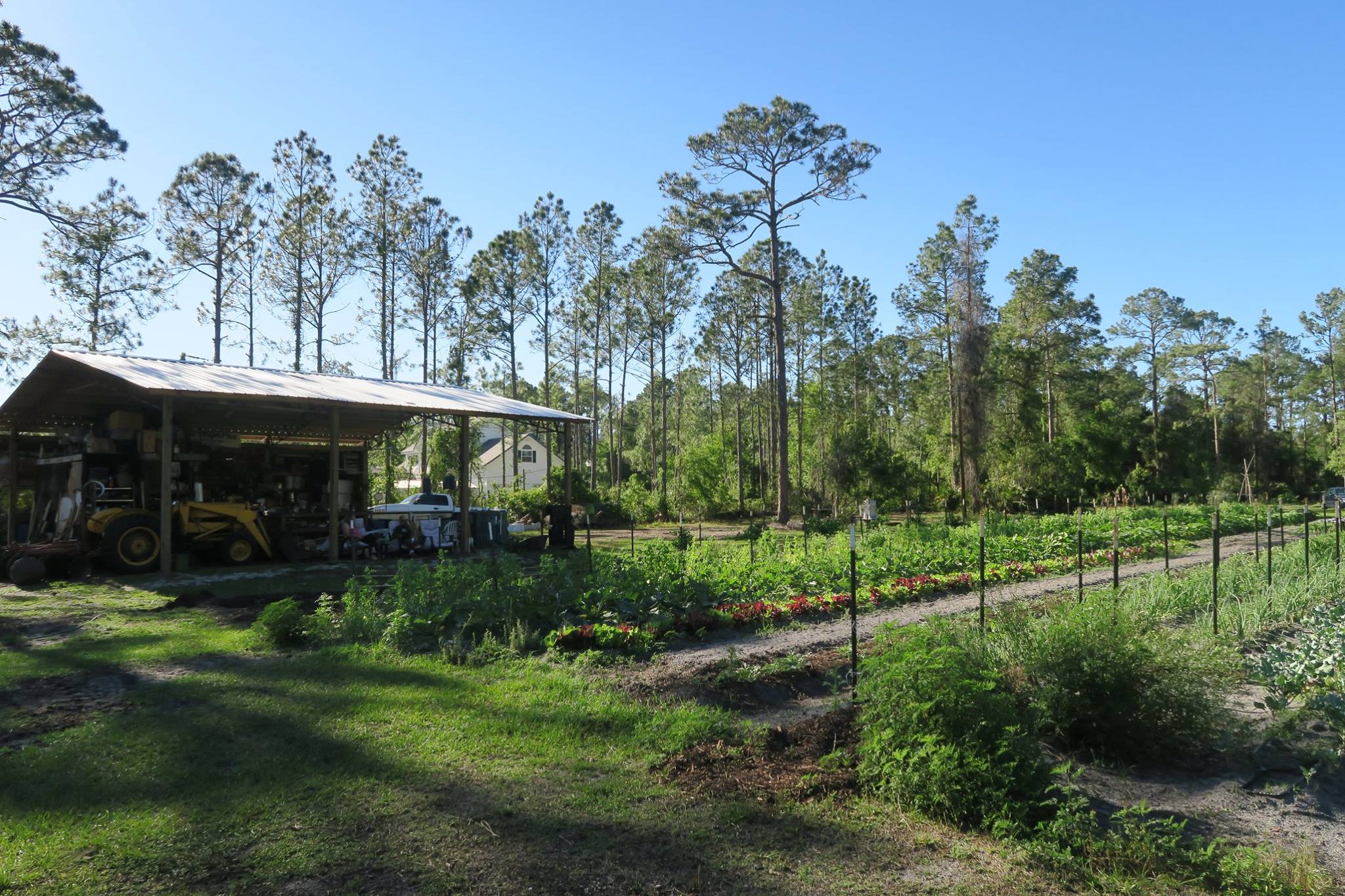 Earthperks farm; gardens and barn