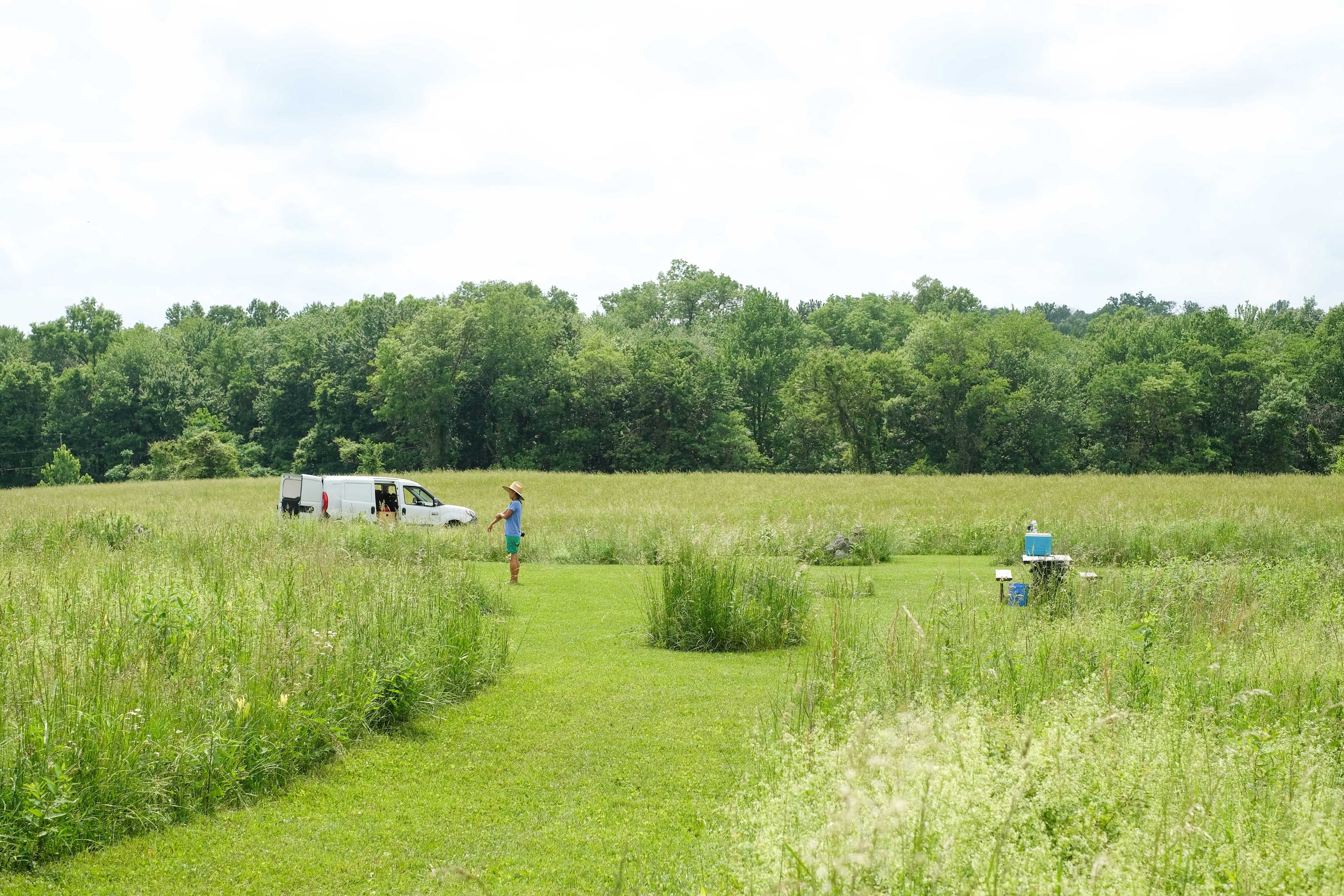Picture of the site
