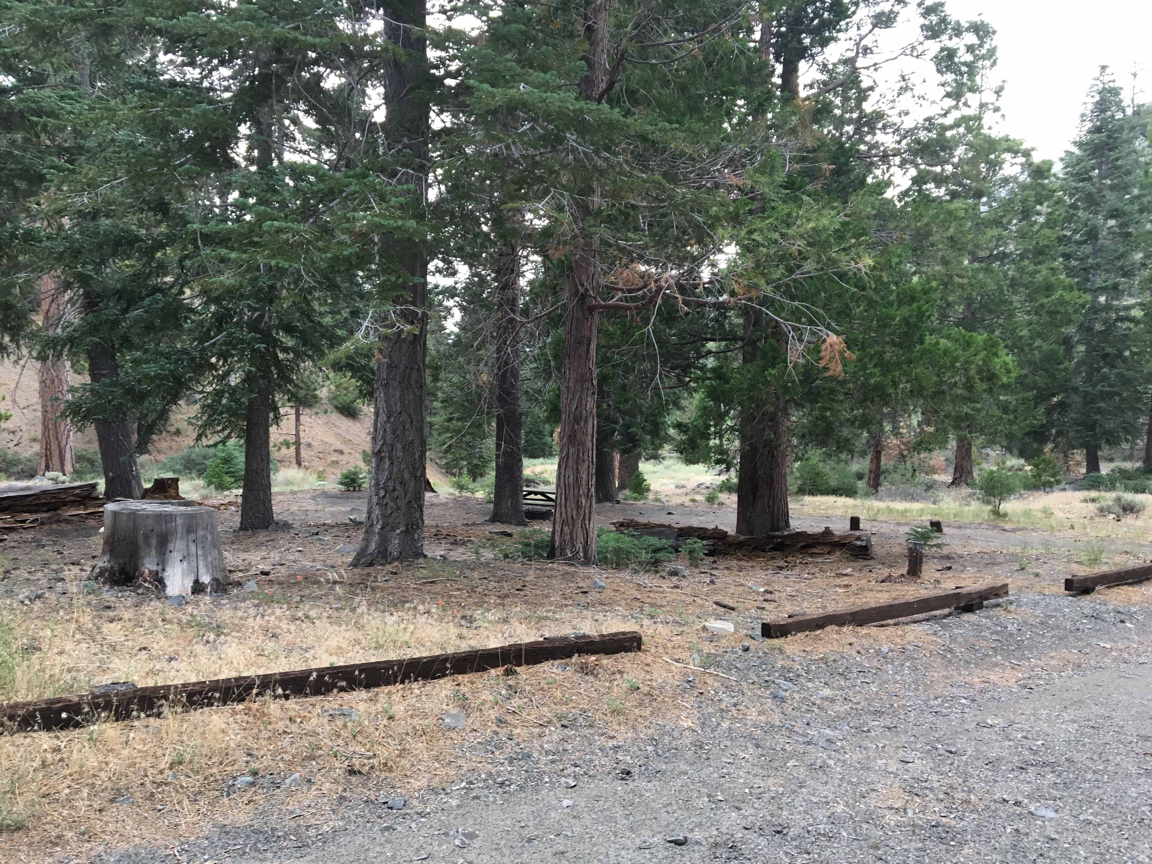 Lupine Campground