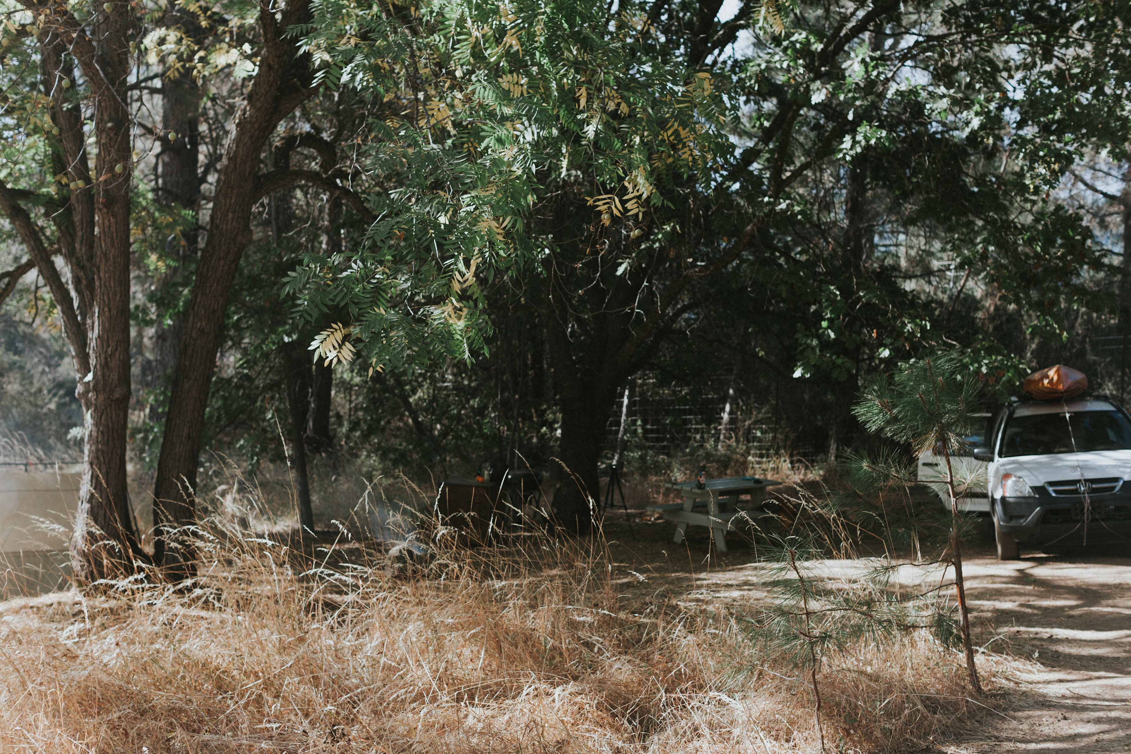 Campsite is very private and secluded