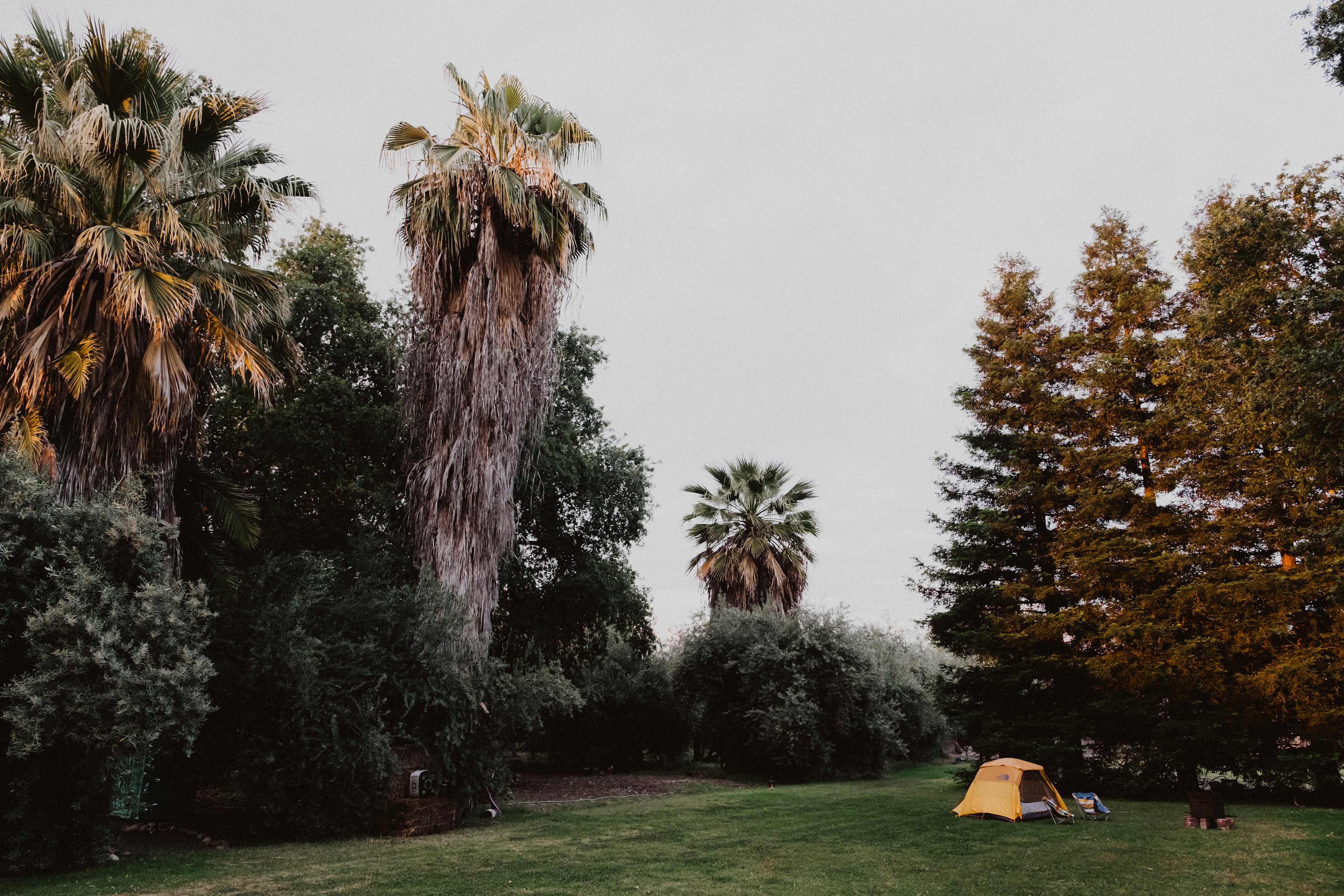 Feelin' tiny in the big open space. 