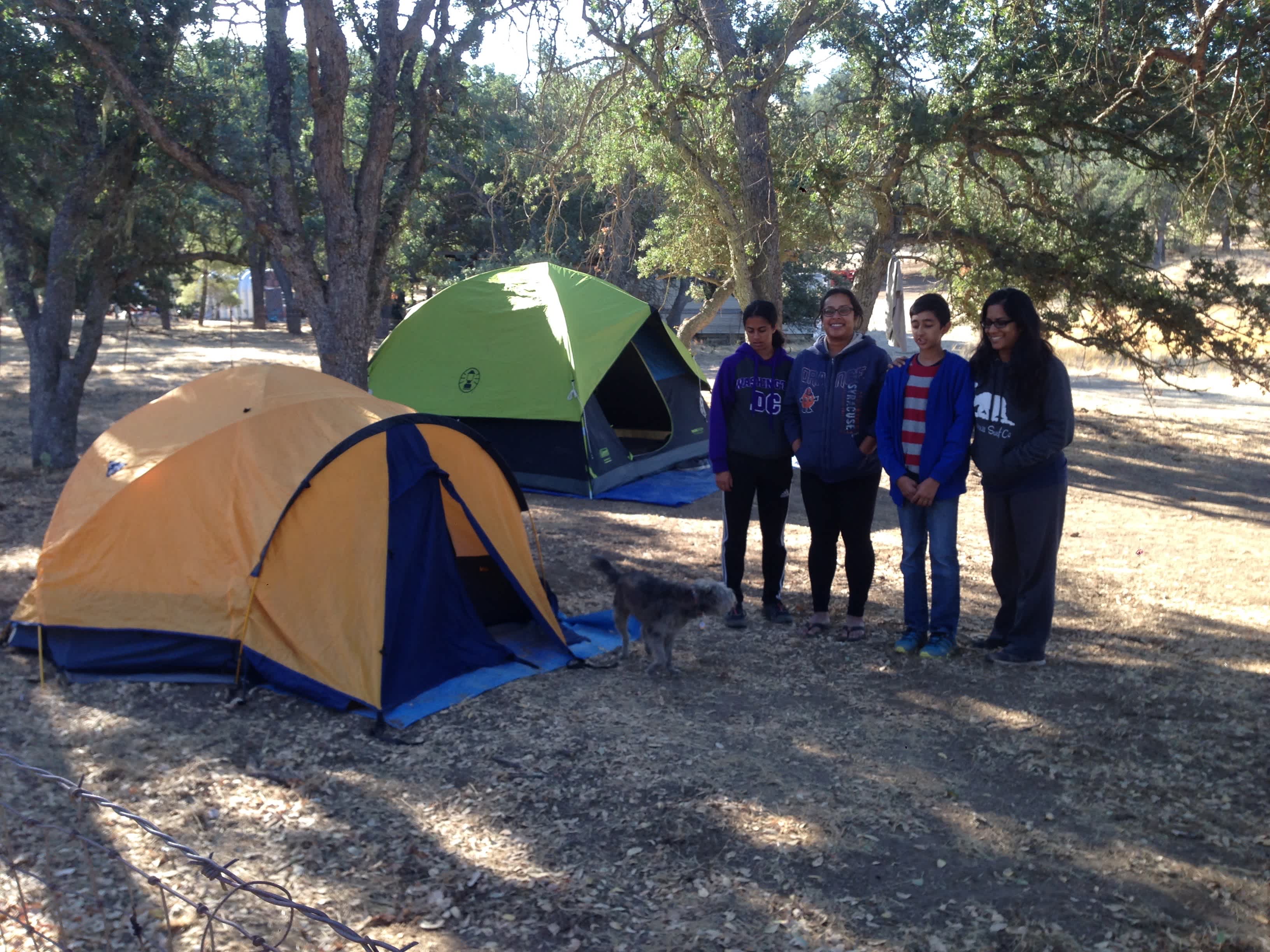 Campsite 4 - First and Second Generation from India