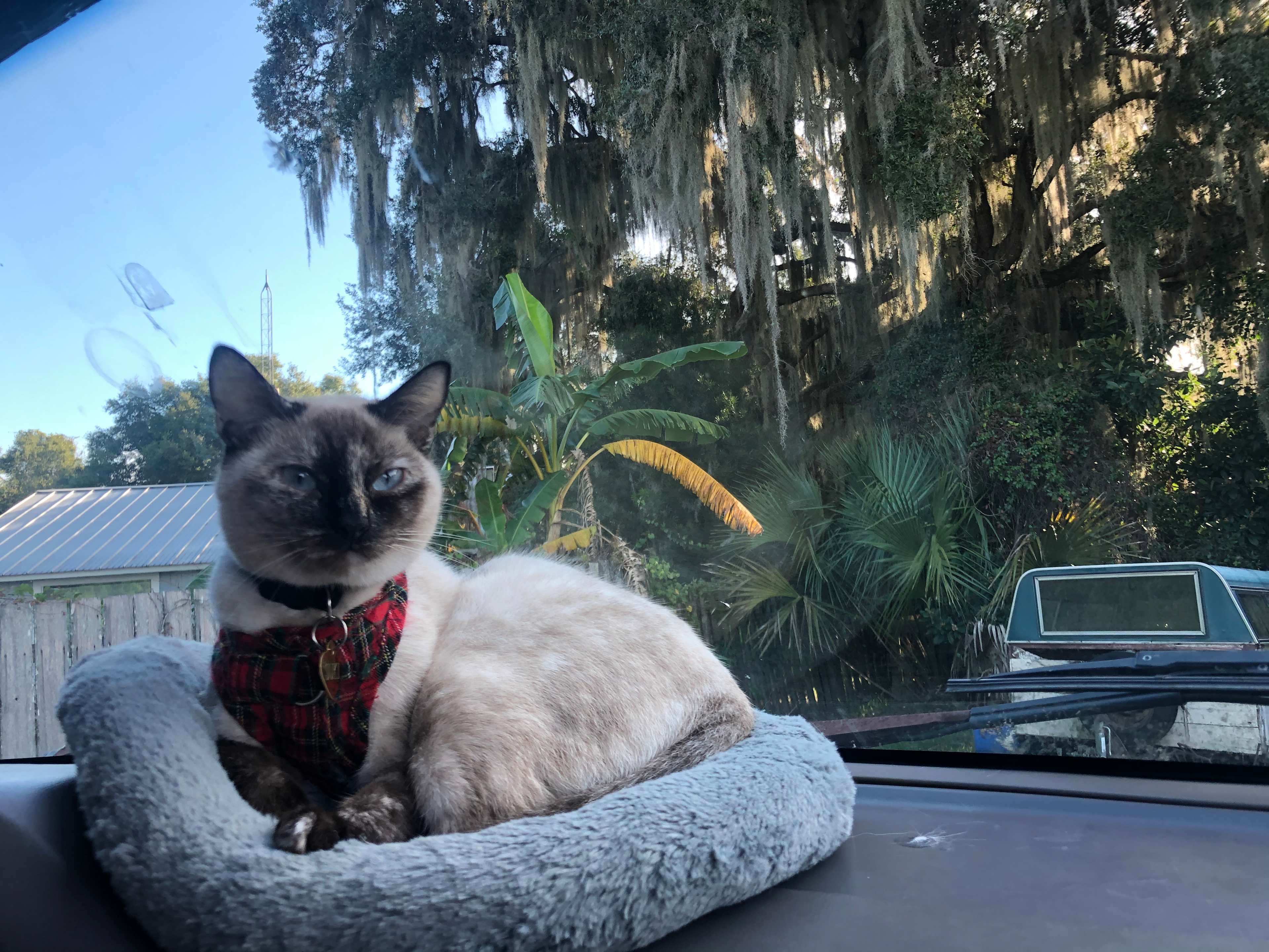Marci's Magical Lakefront Oasis