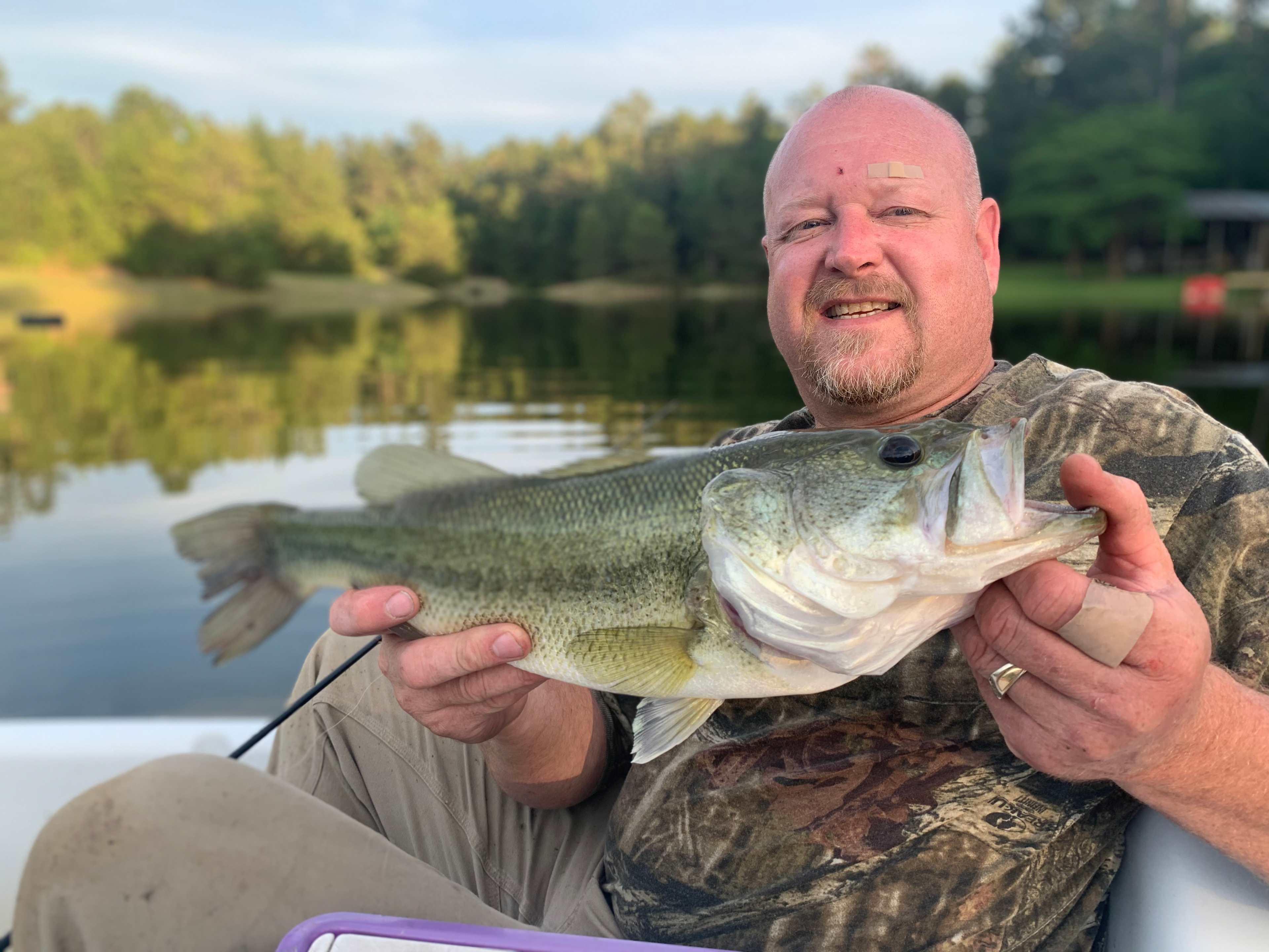 Nice Size Bass caught in our pond.  You may catch & release or Catch & Eat.  Catch and Eat has to 12" - 14" - Bass, 7" Blue Gill, Sun Perch & Tilapia