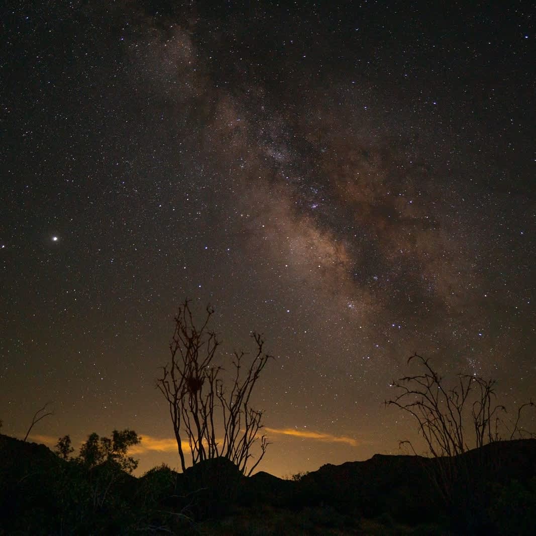 Joshua Tree Private Campsite