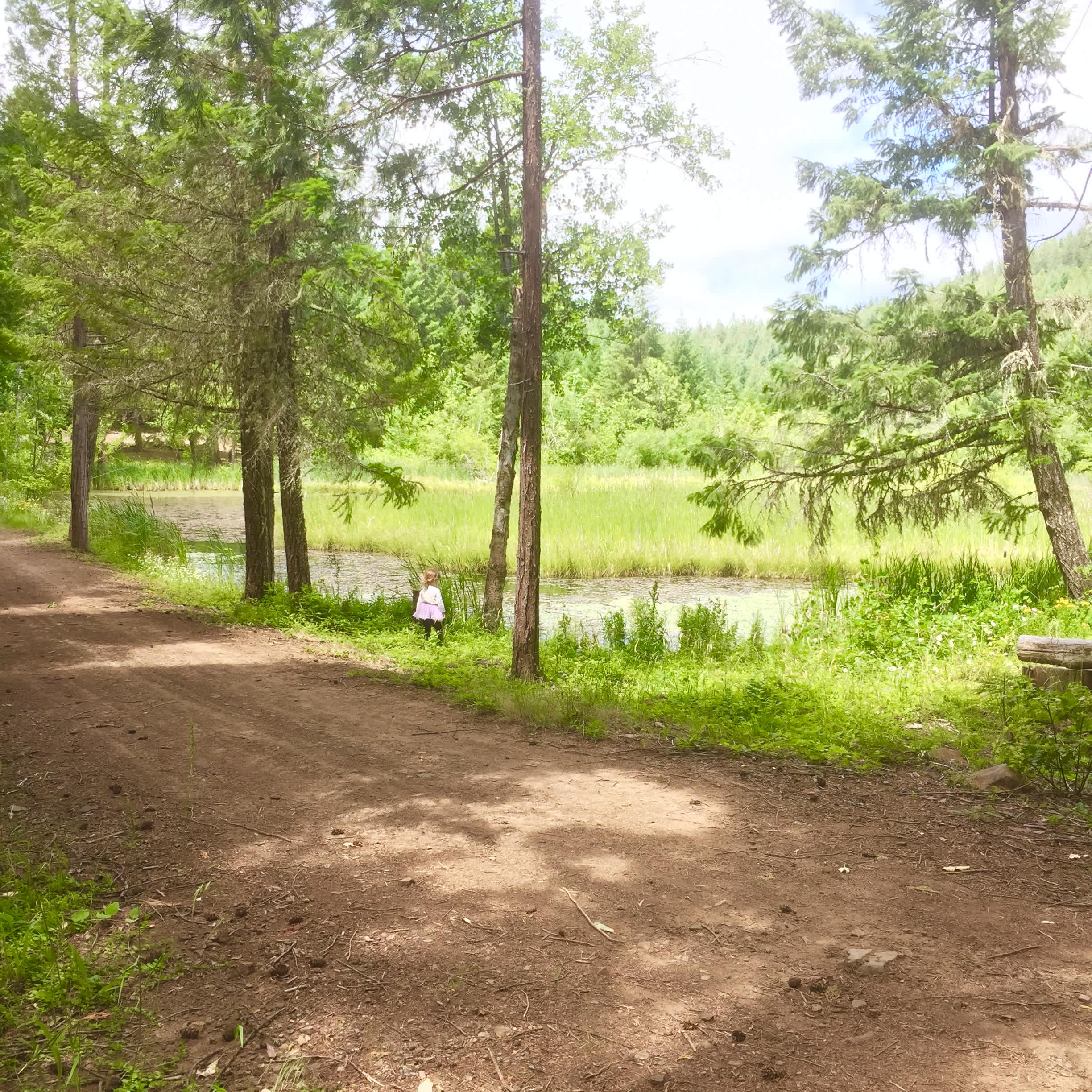 Picture of the site