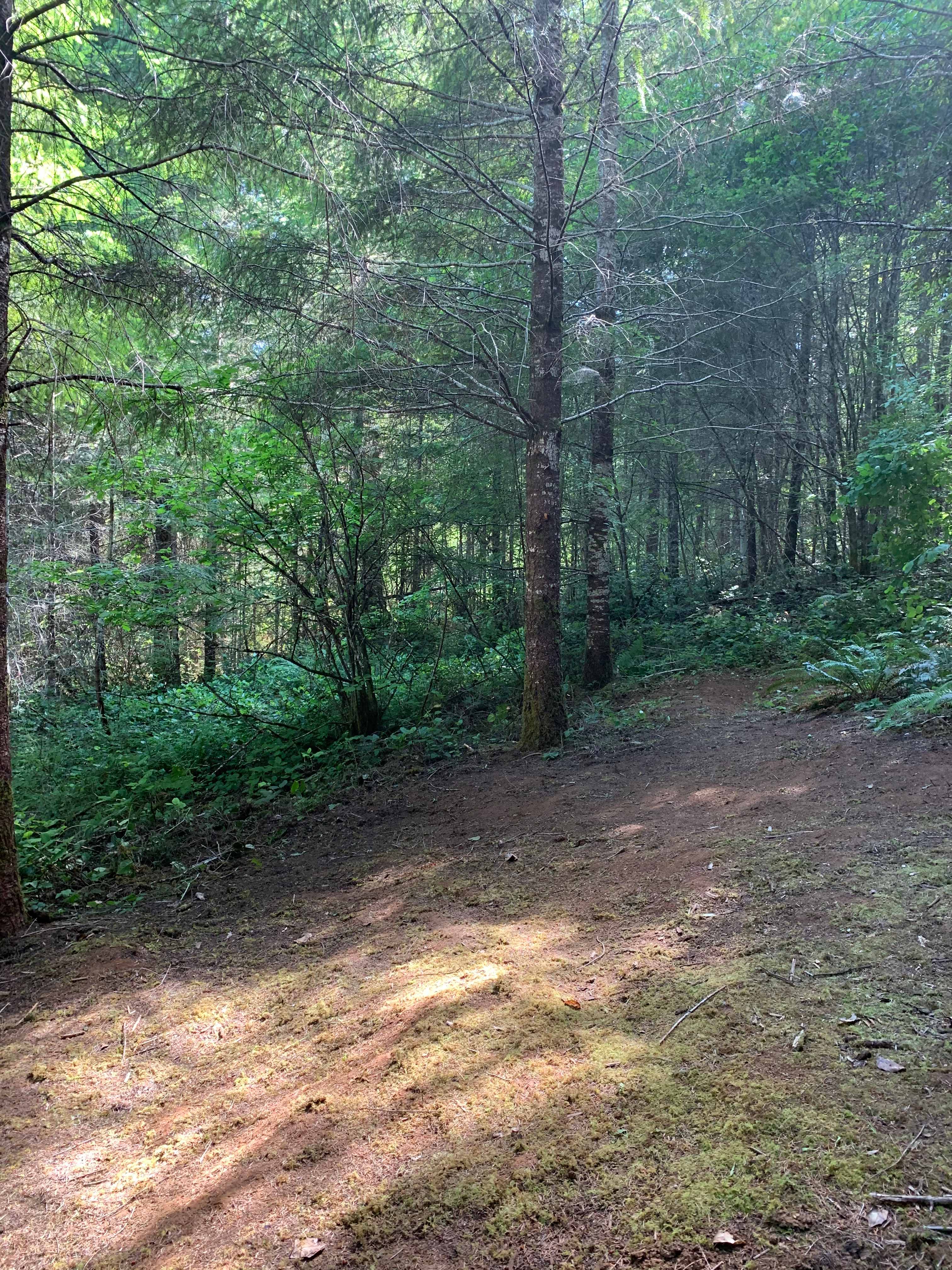 Wendy H.’s Land