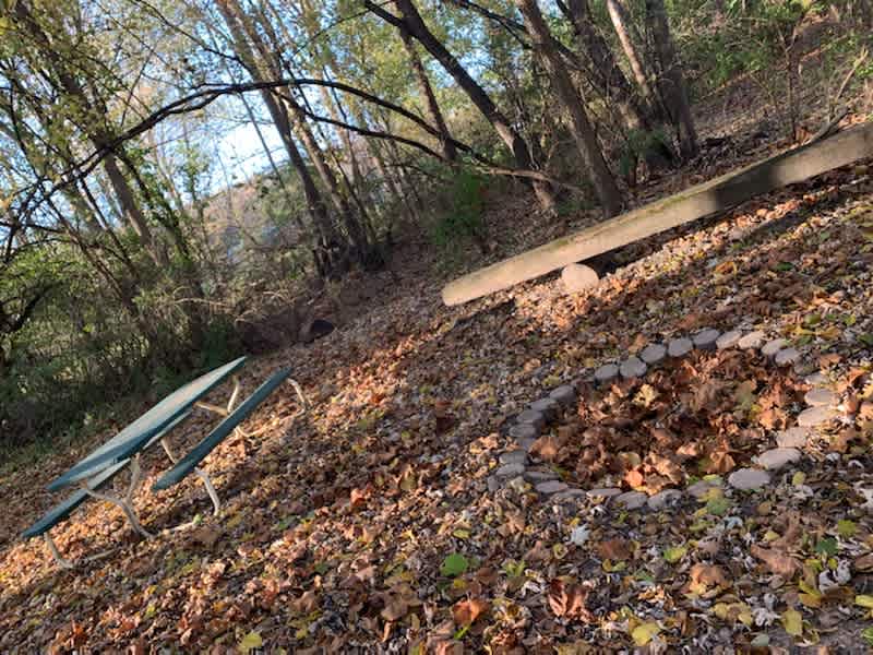 Picture of the site