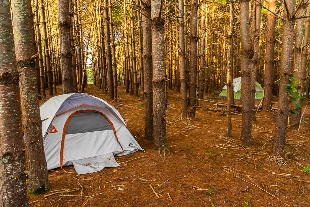 Hammock’Sway Private Off Grid Camp