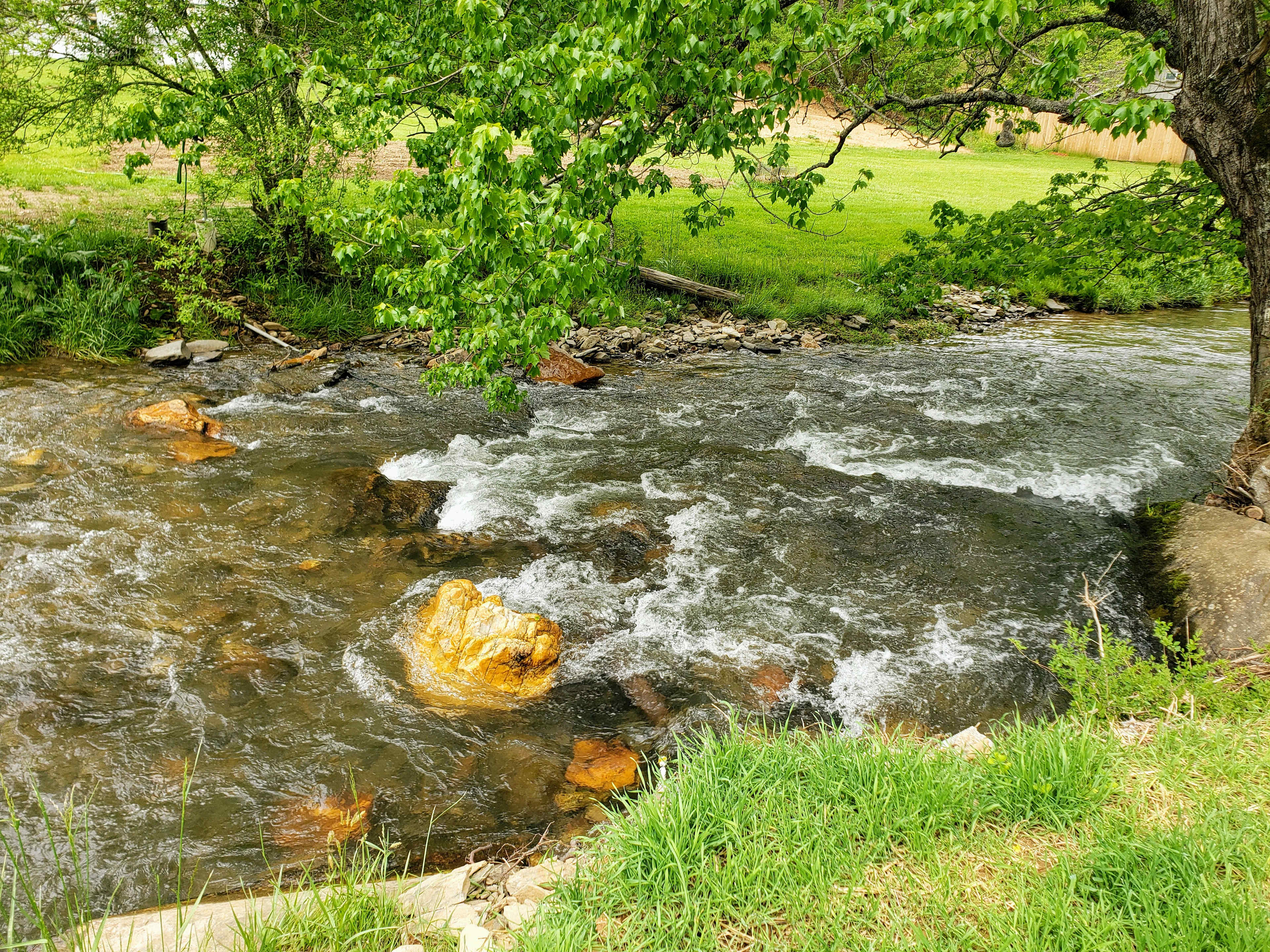 The ongoing sounds of Conleys Creek is soothing.