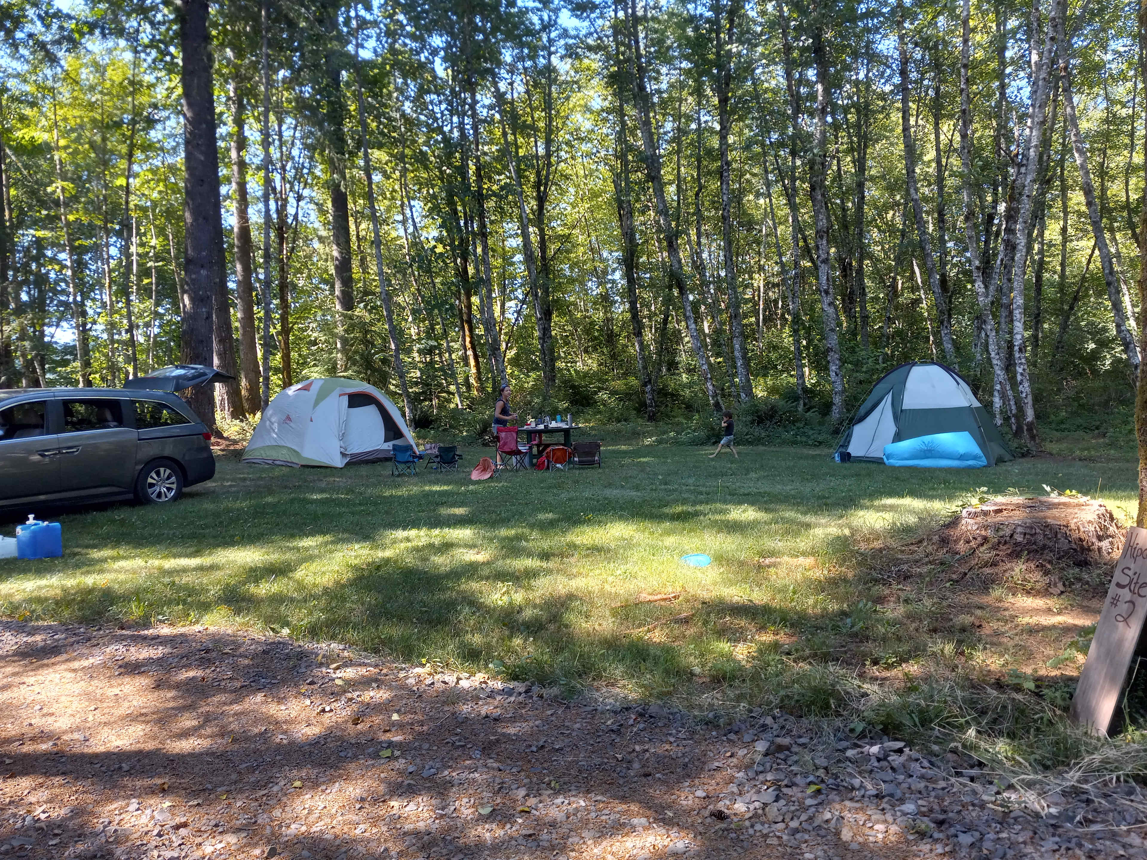 Picture of the site