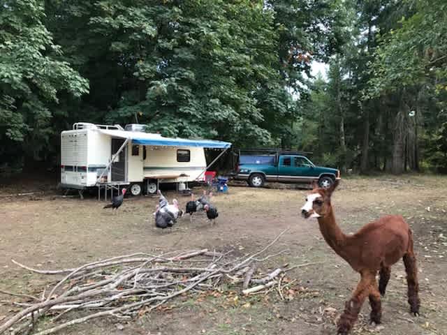 The Healing Farm
