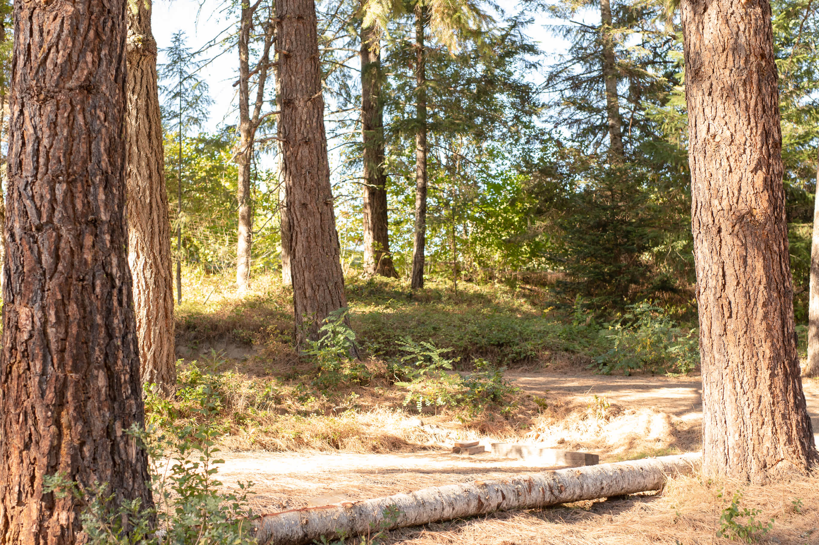 Riverwild Glampground