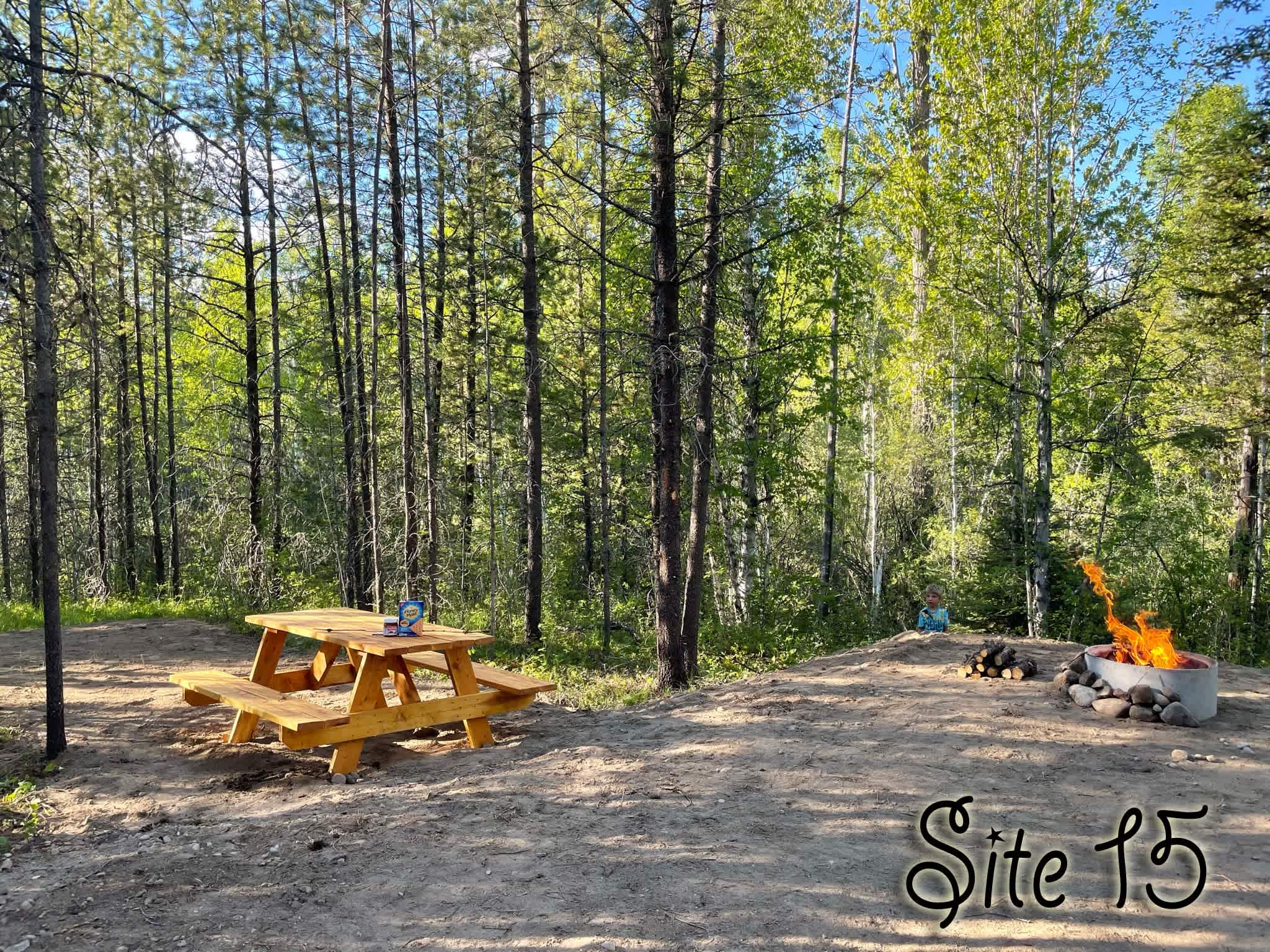 Picture of the site