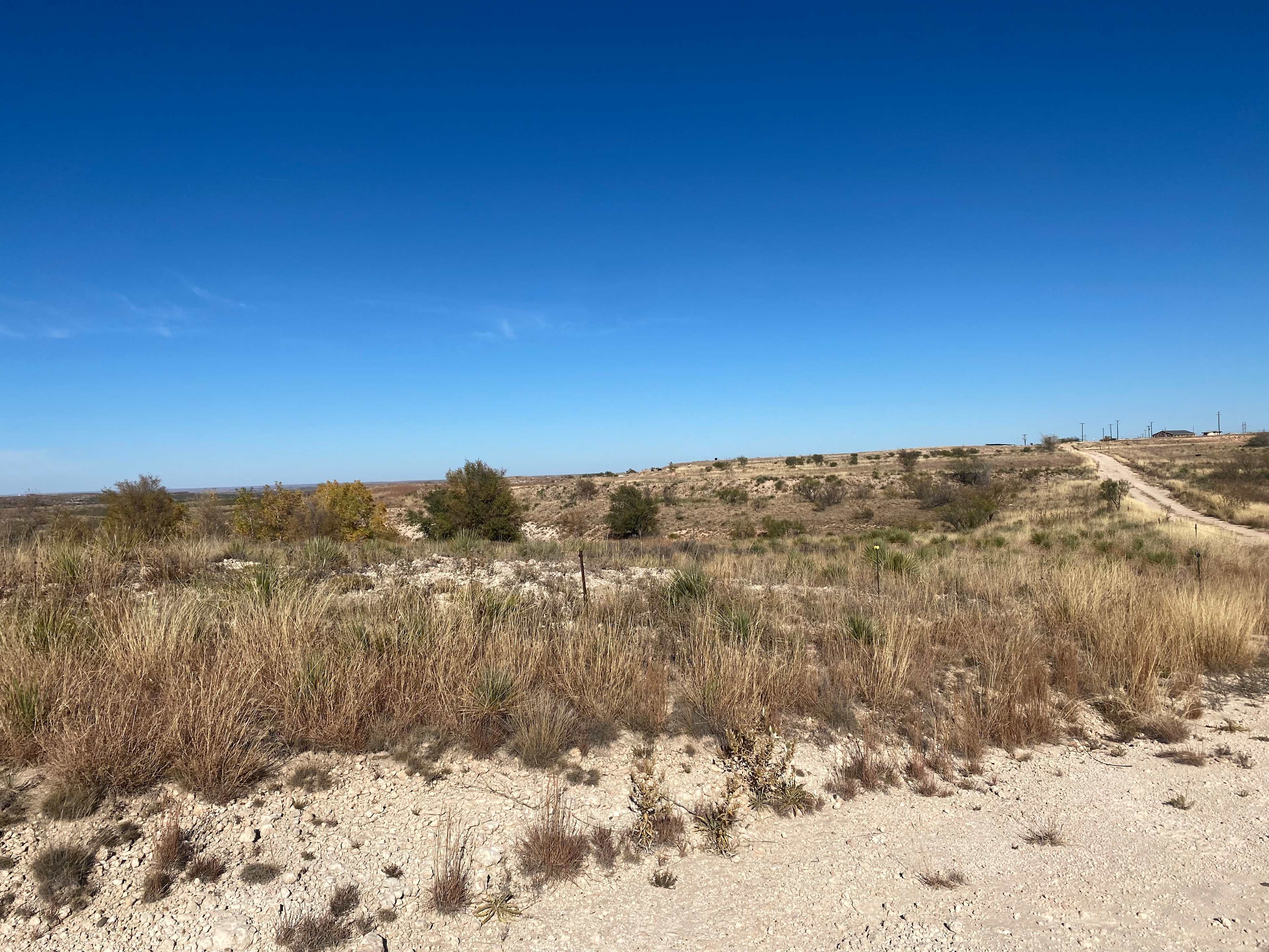 Mariposa Community Land Trust