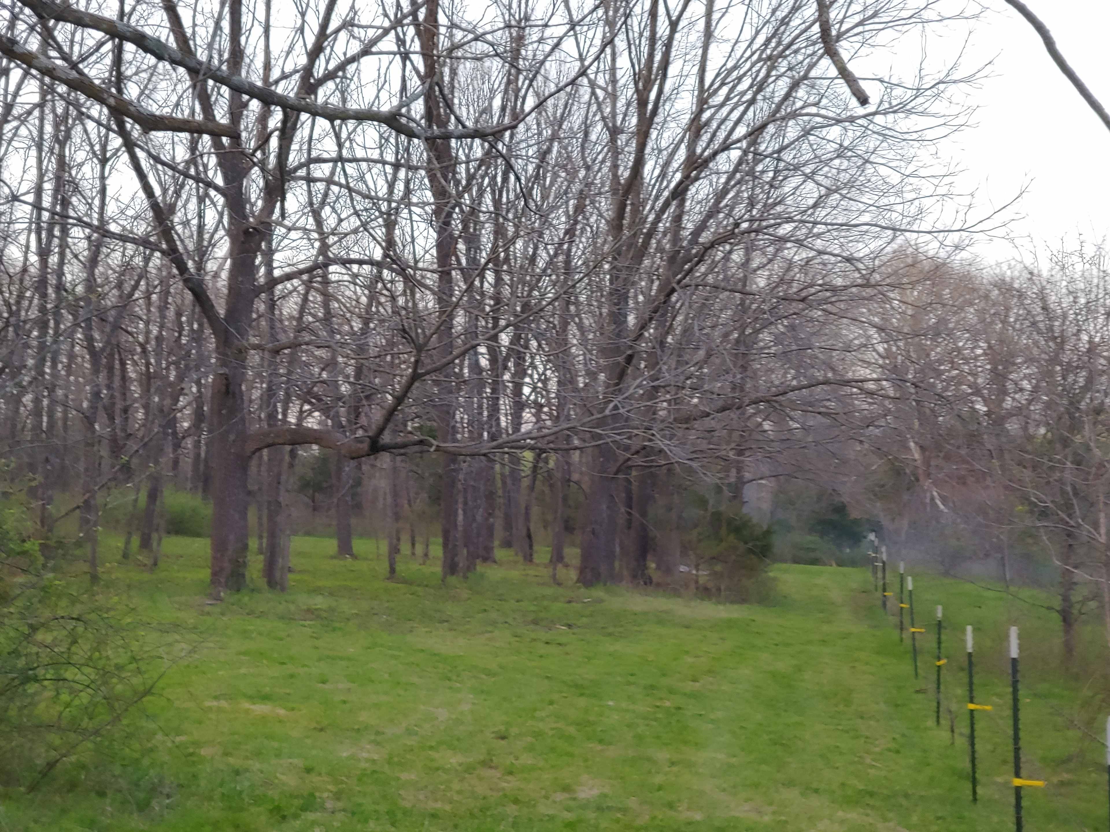 Notcho ordinary camp