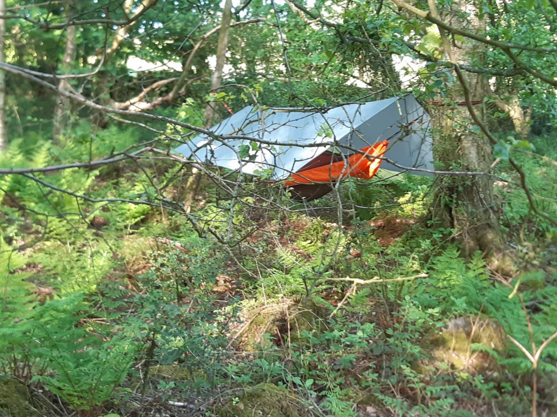 Hammocking in Wudu wood
