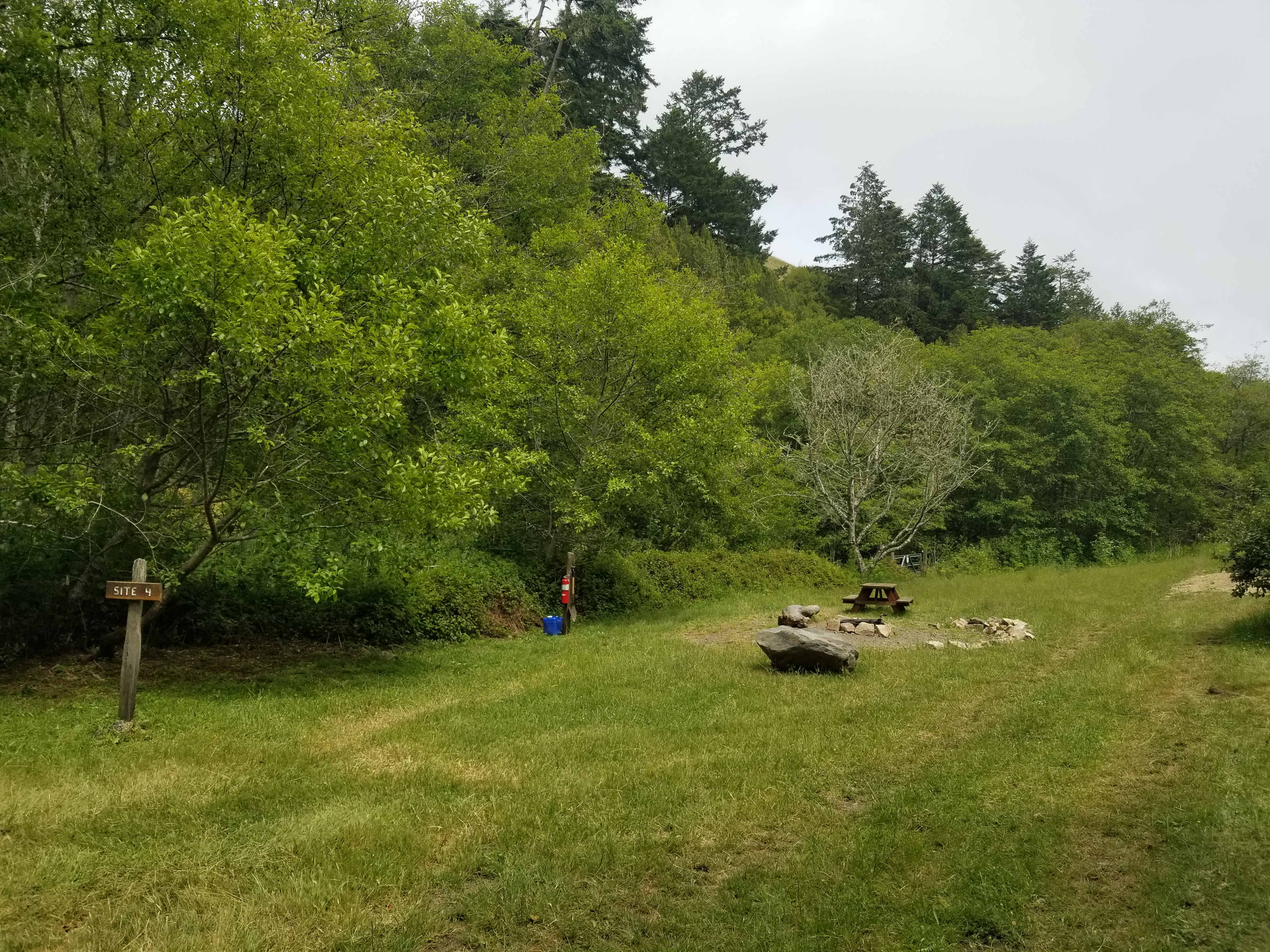 Picture of the site