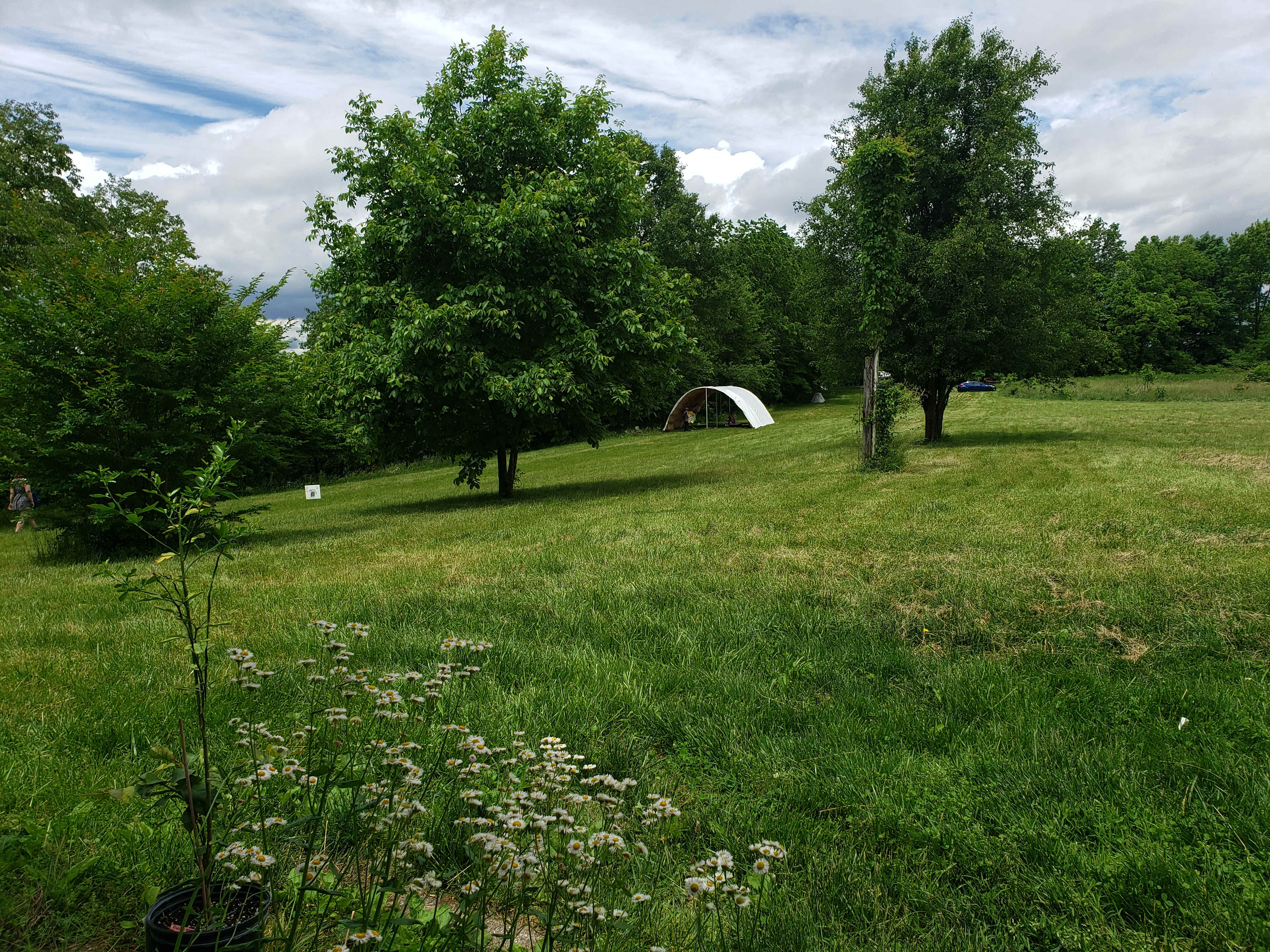 Home Afarm