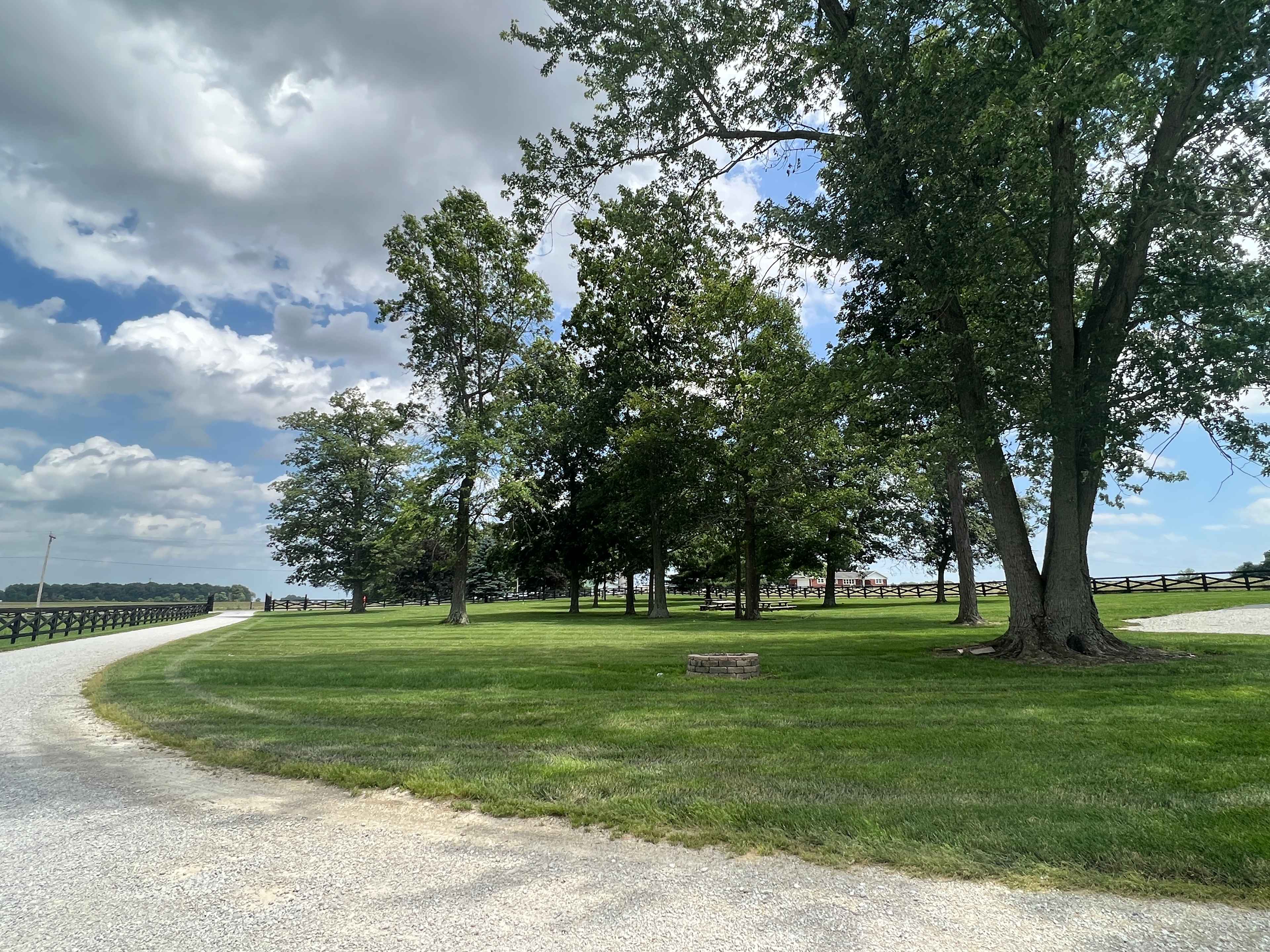 View of our 3 large camping spots and fire pit!