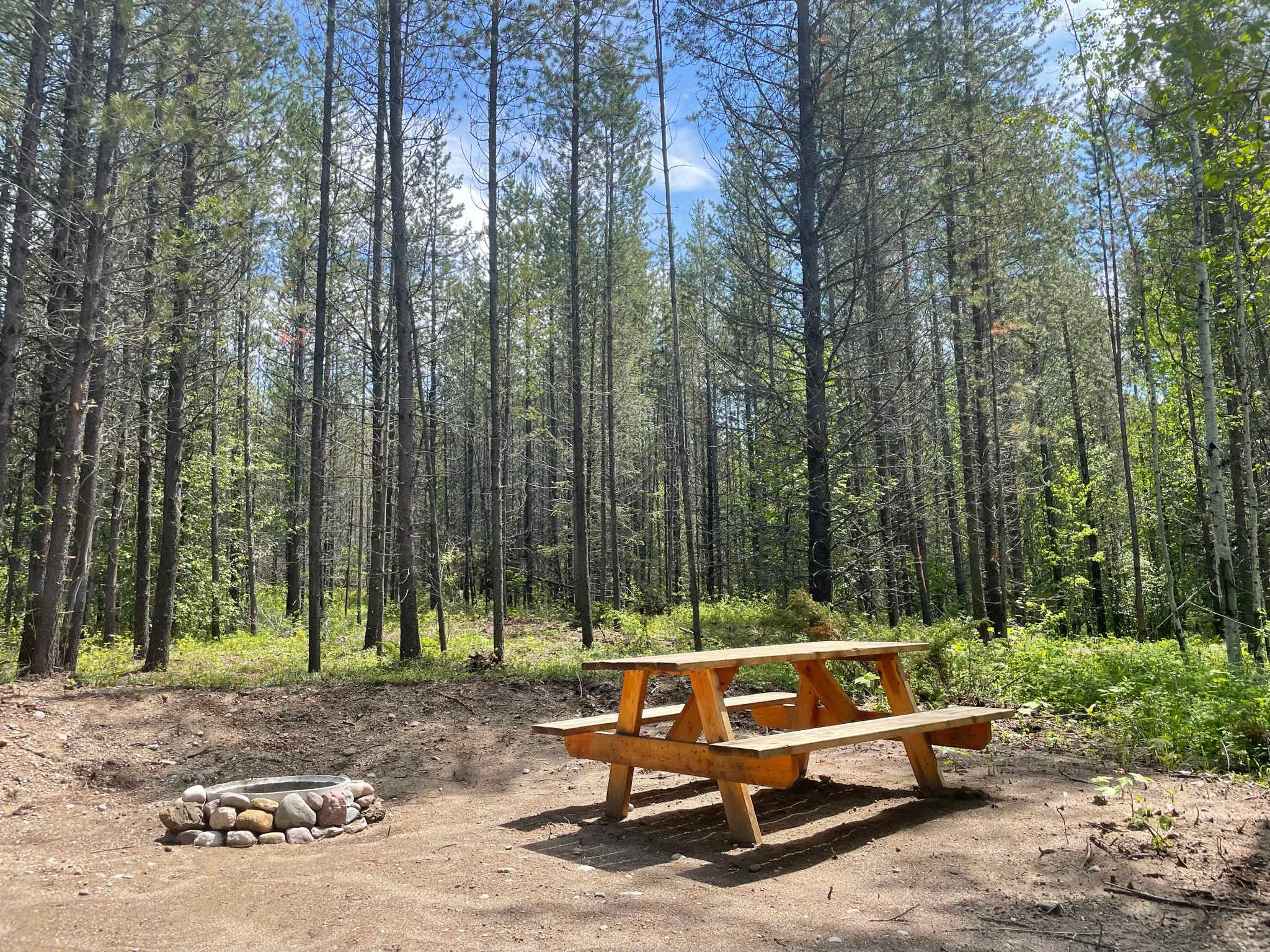 Picture of the site