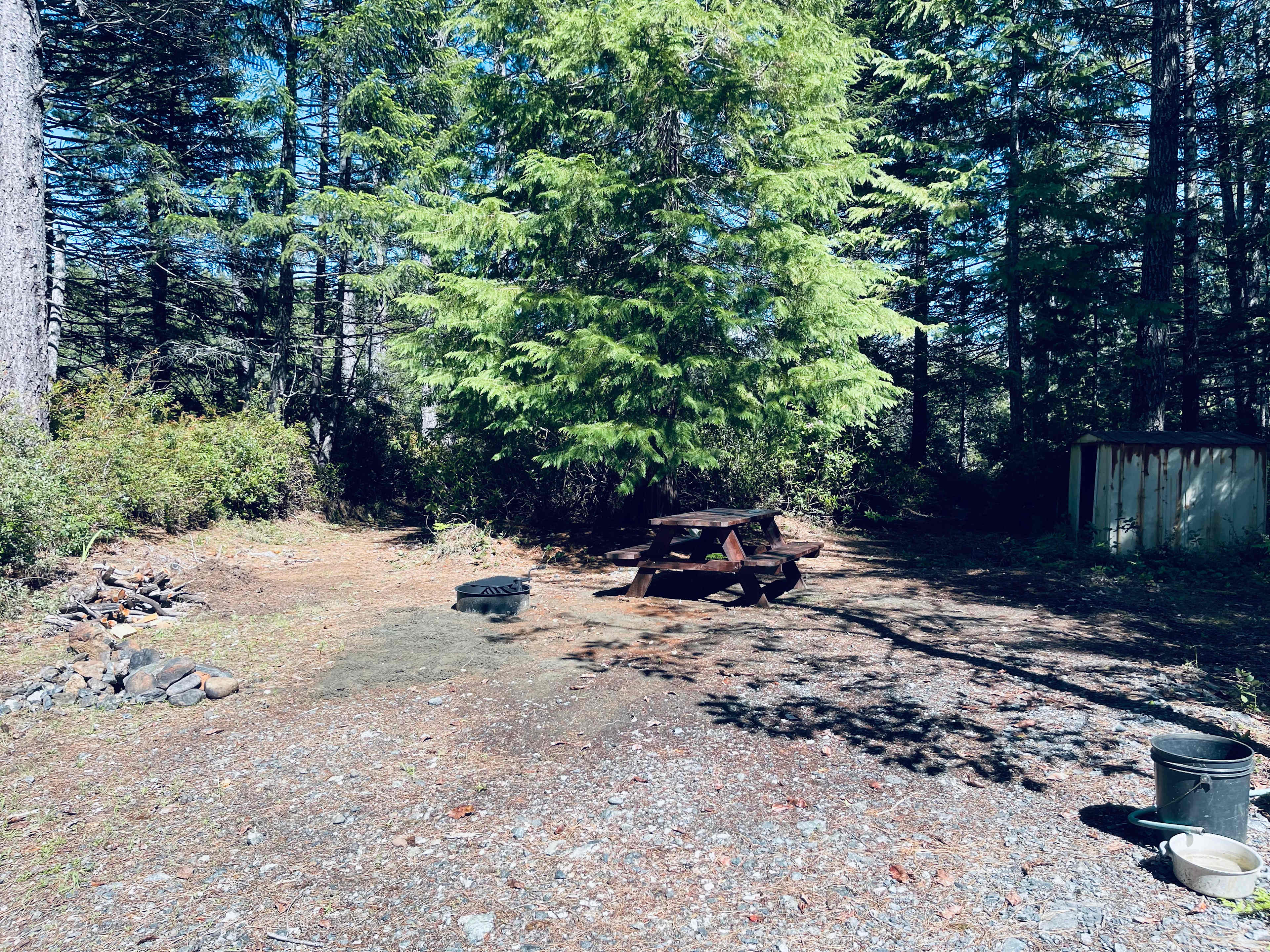 Picture of the site