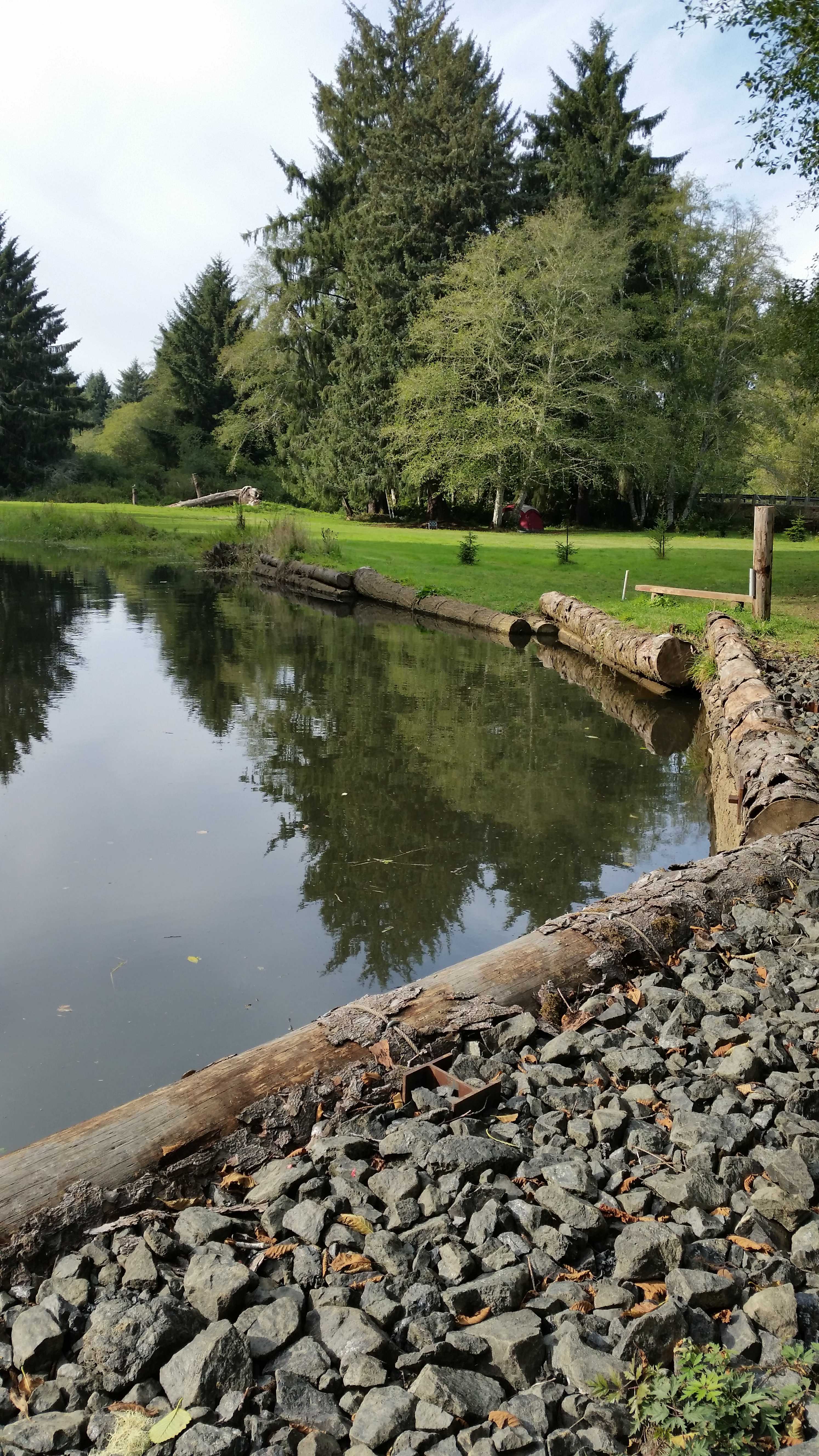 Williams Park campground