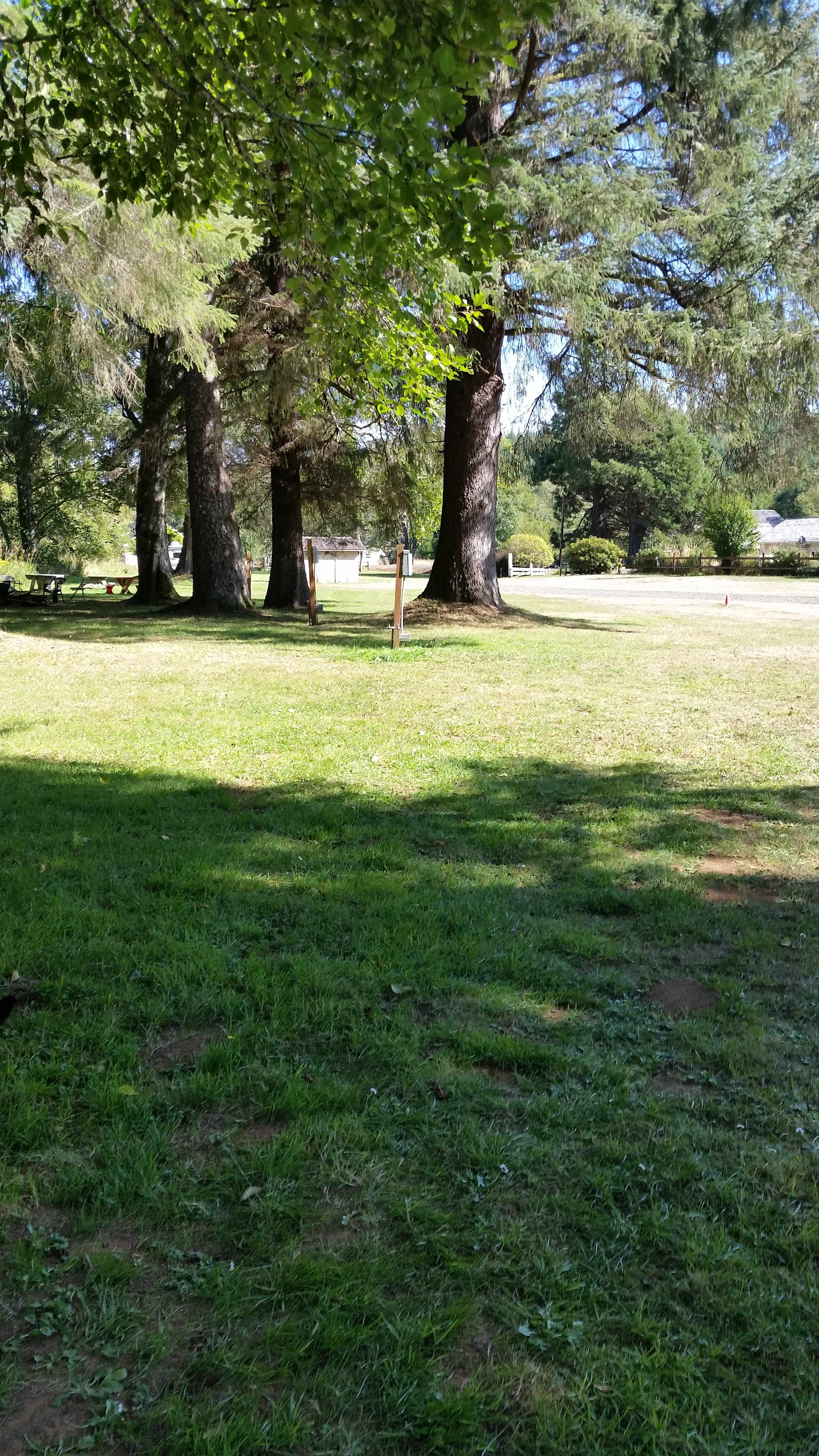 Williams Park campground