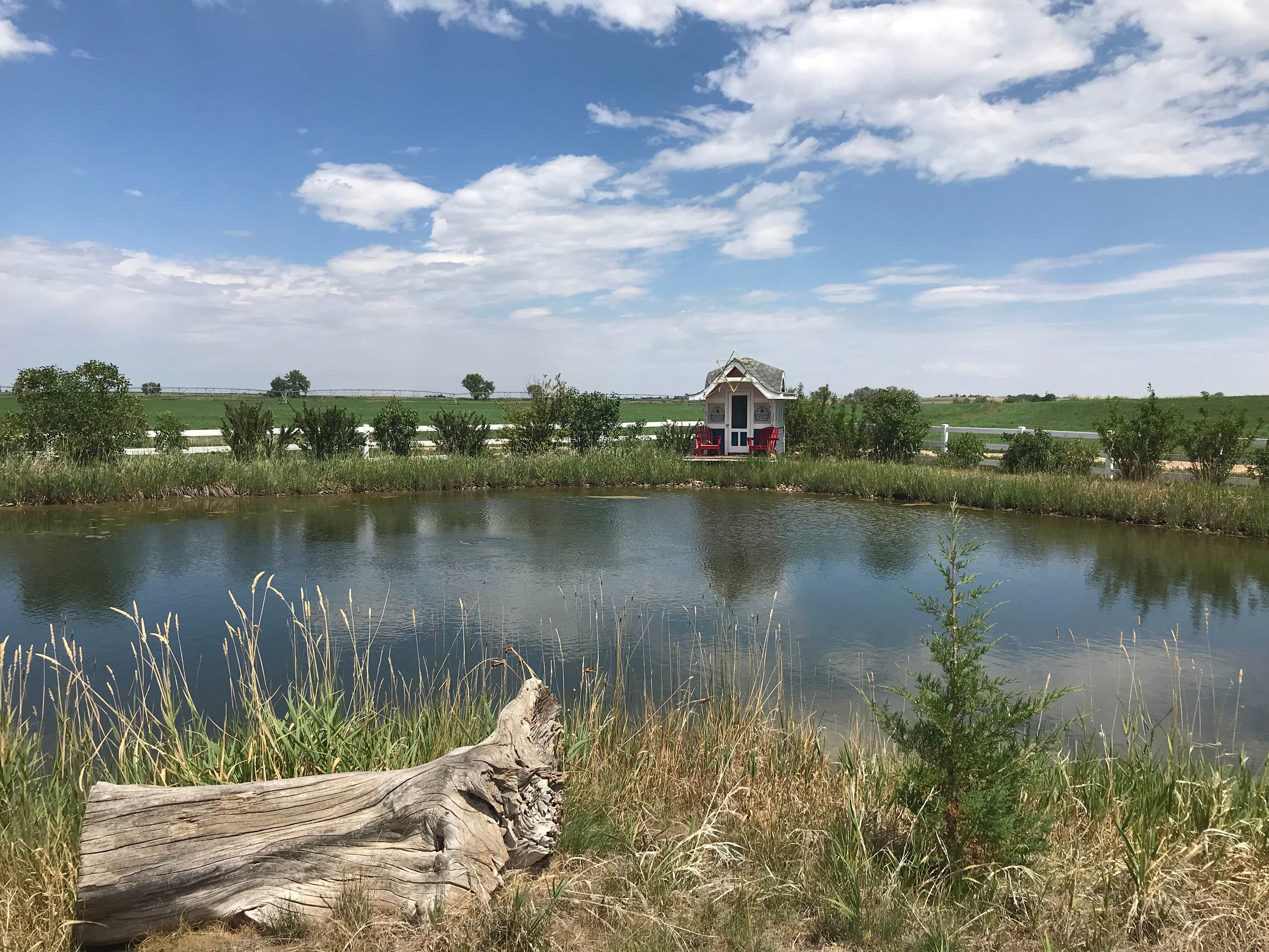 FourFigs Farm