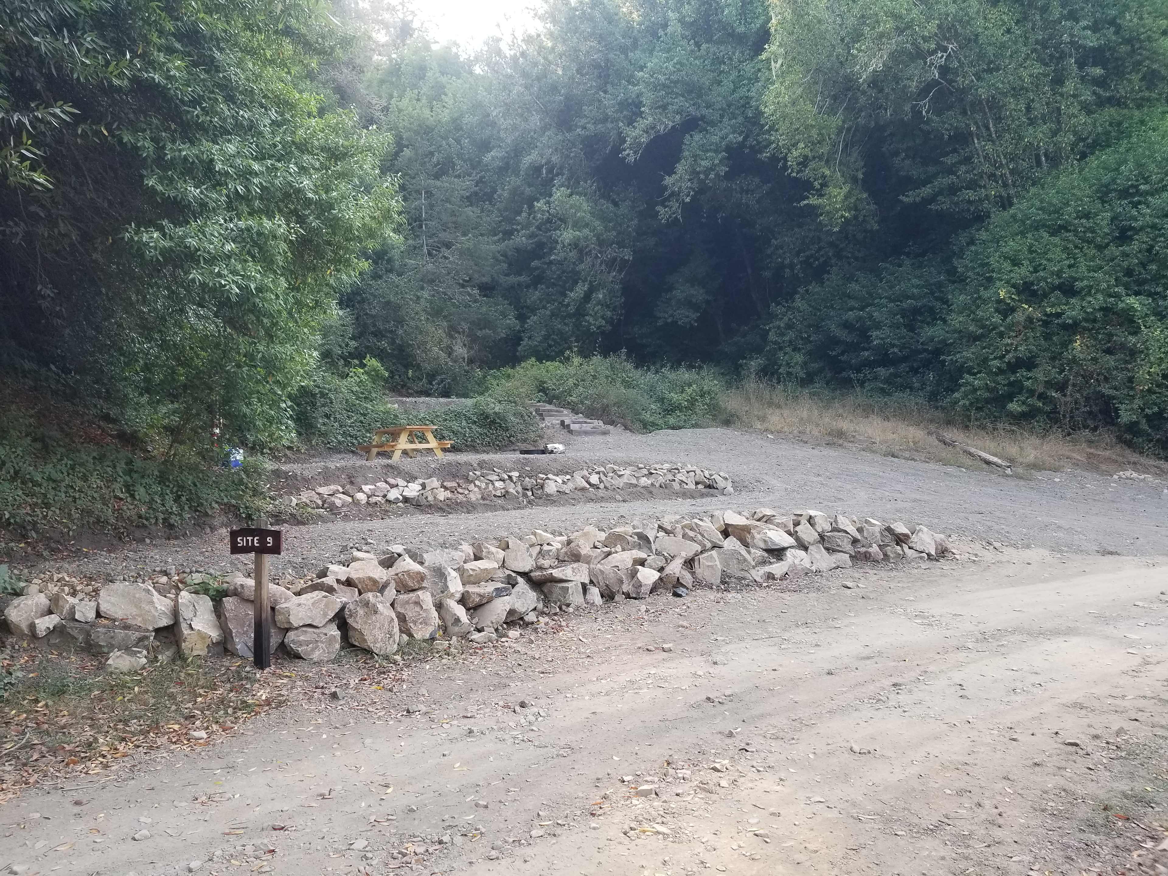 Picture of the site