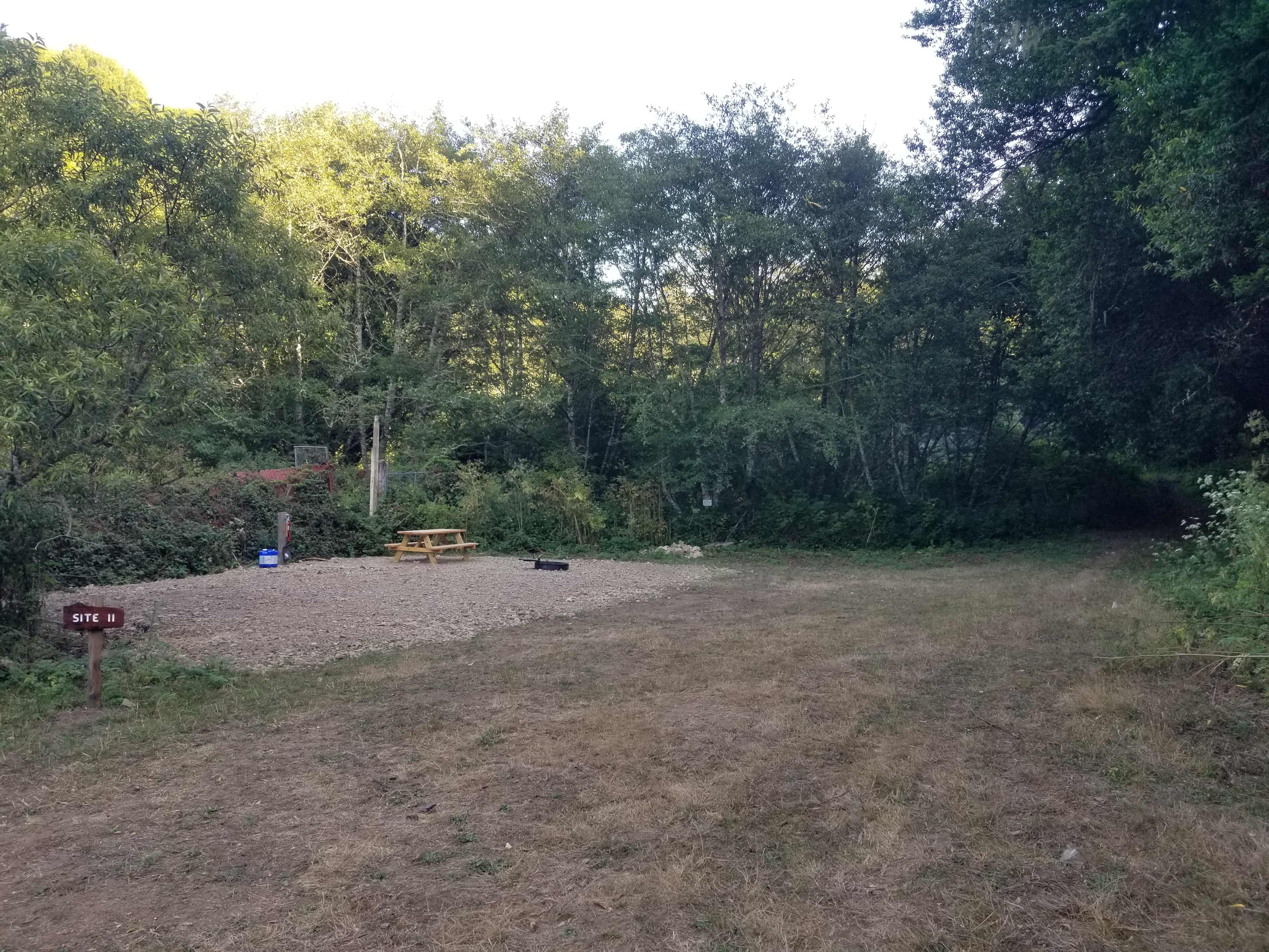 Picture of the site