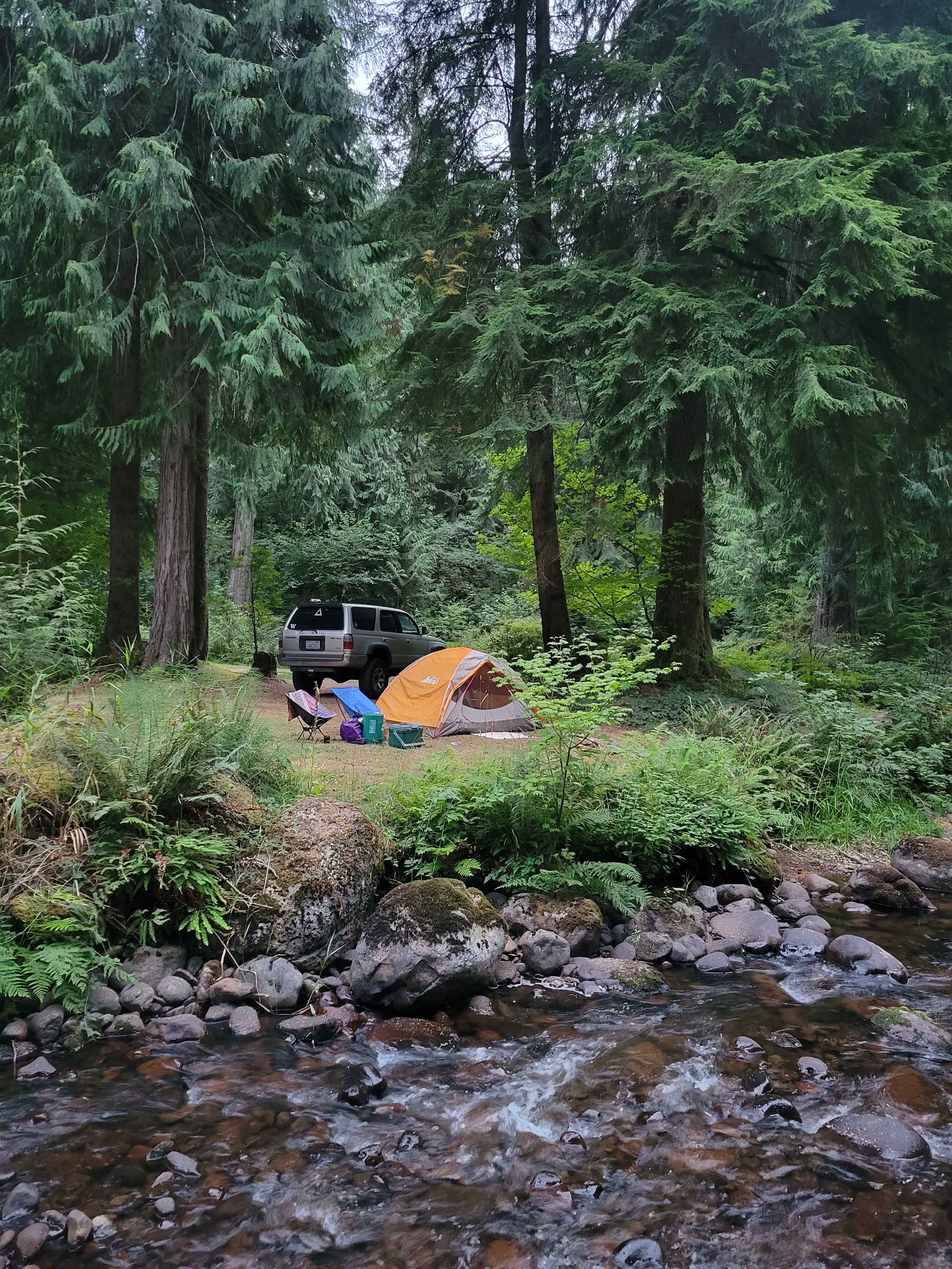 Camp Cedar Creek ⛺️🌲🚐