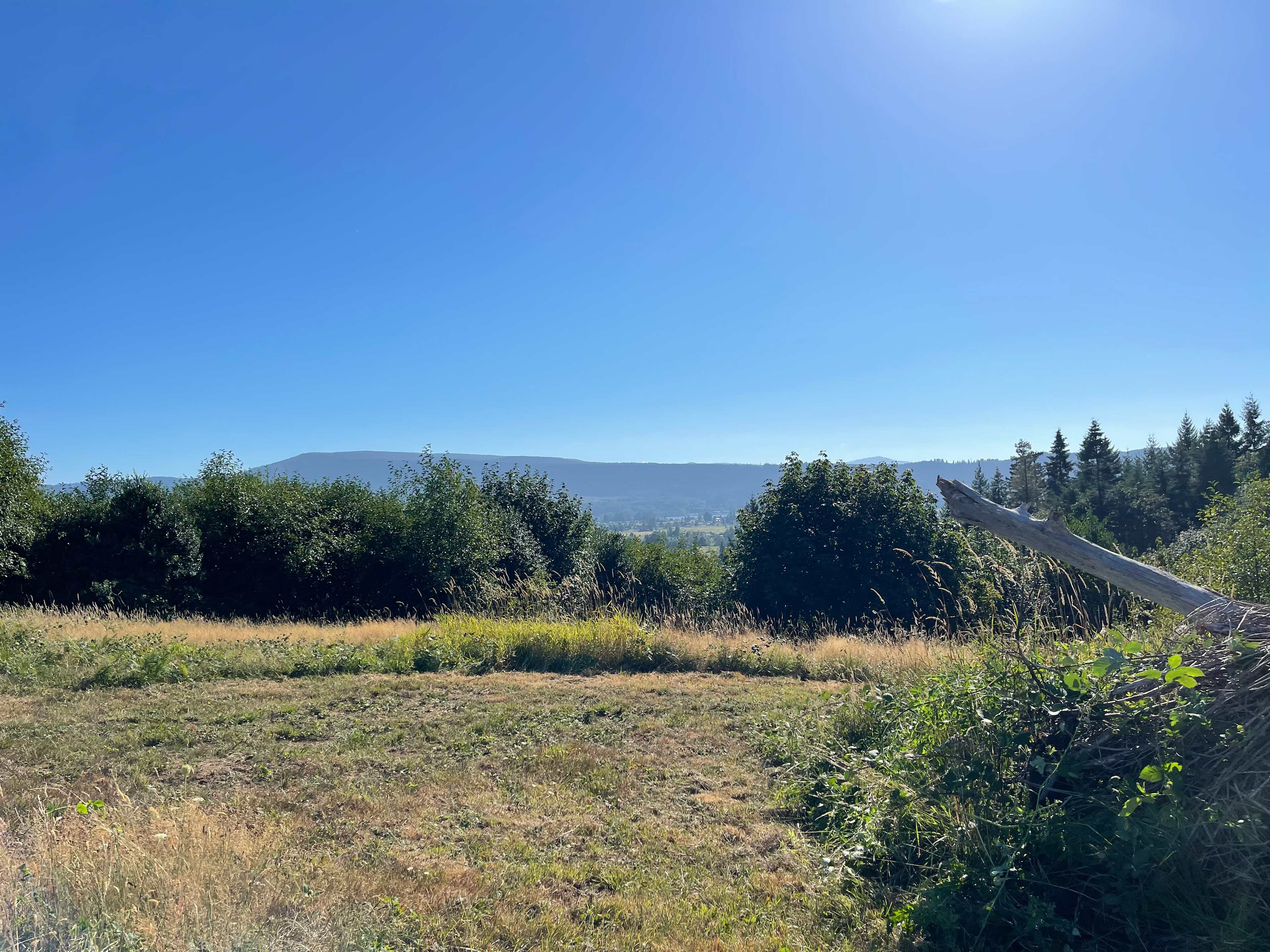 Wild Blackberry Heights