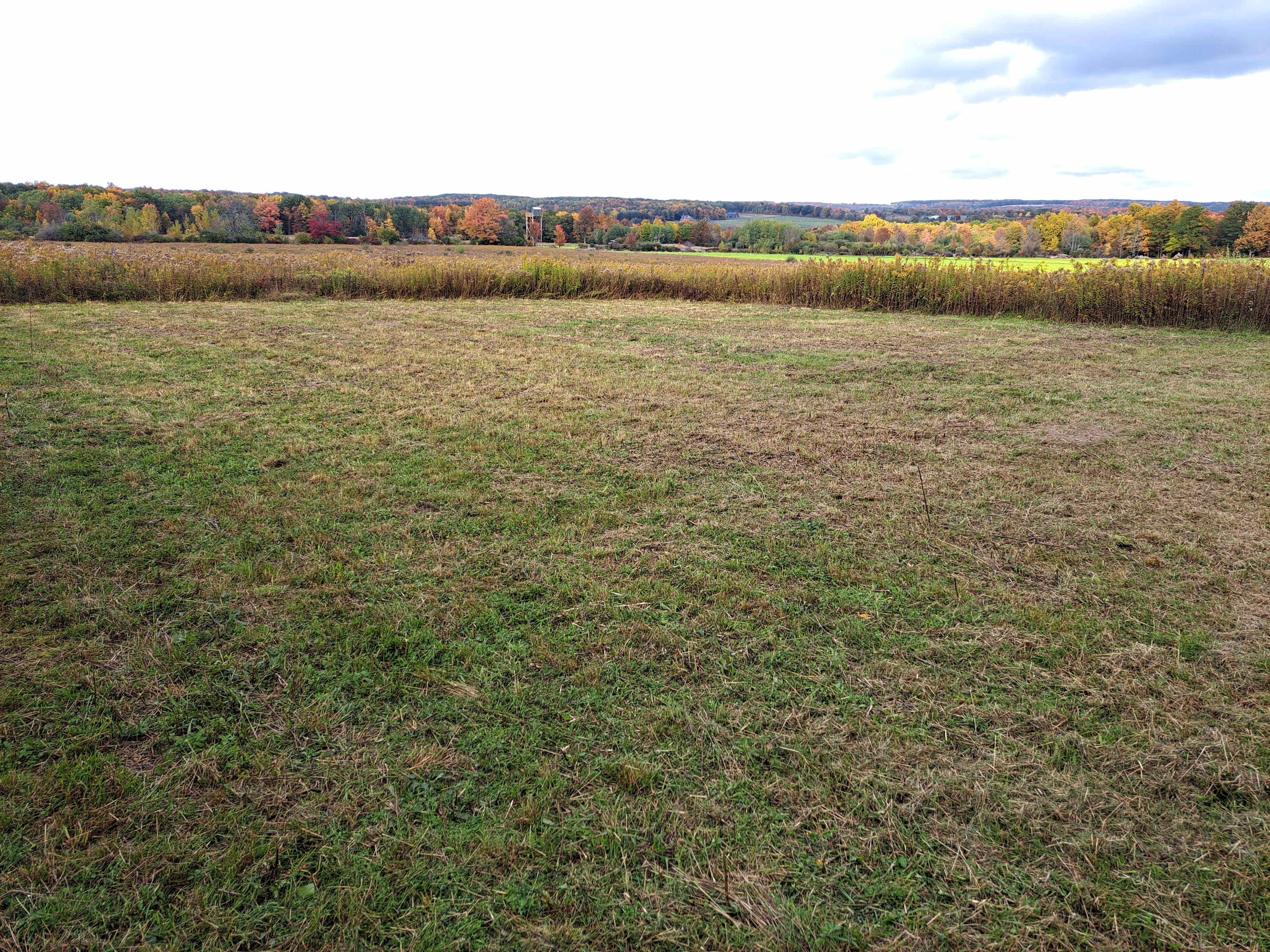 Beacon of Light Farms
