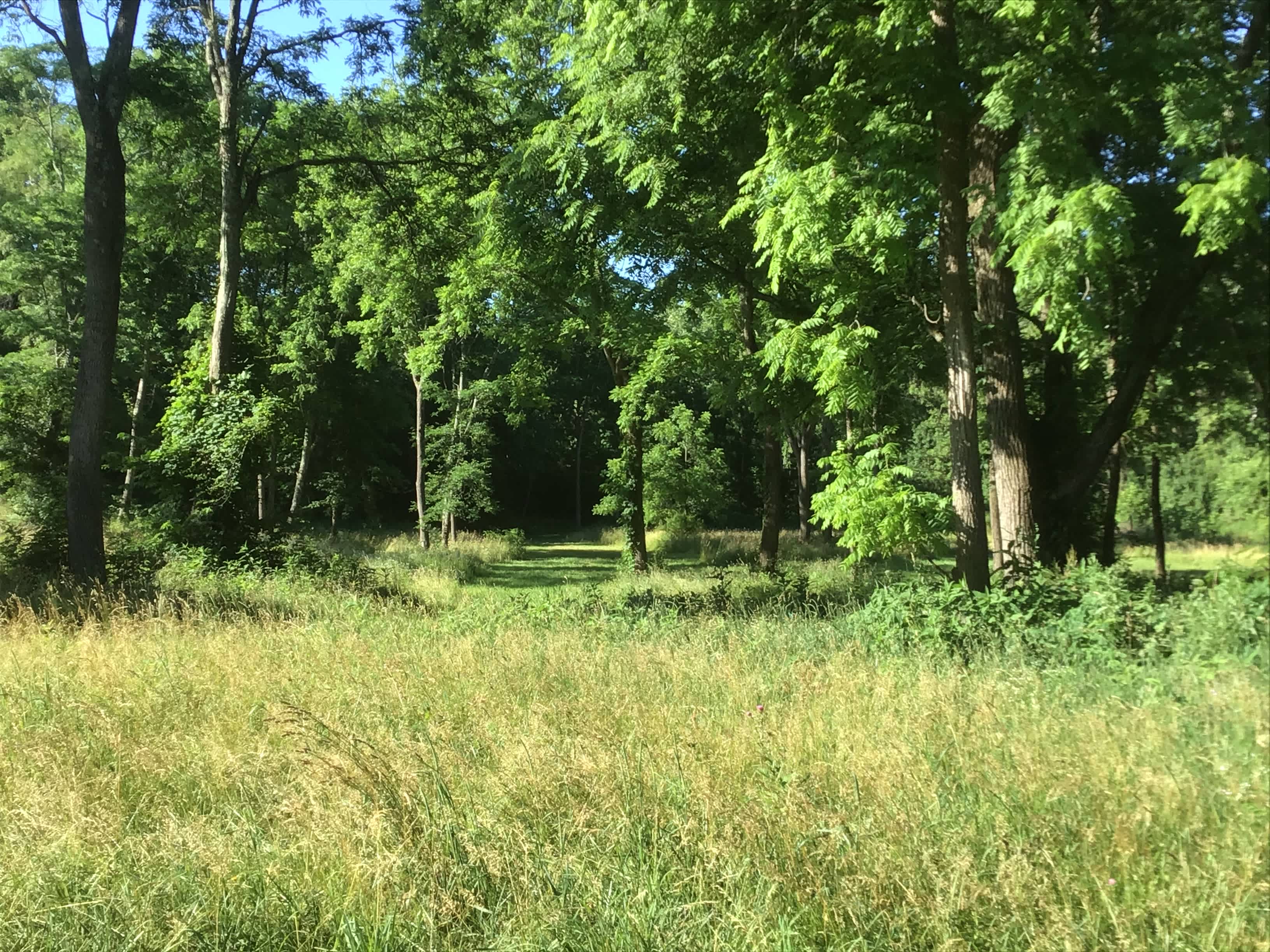 Little Darby Outdoors