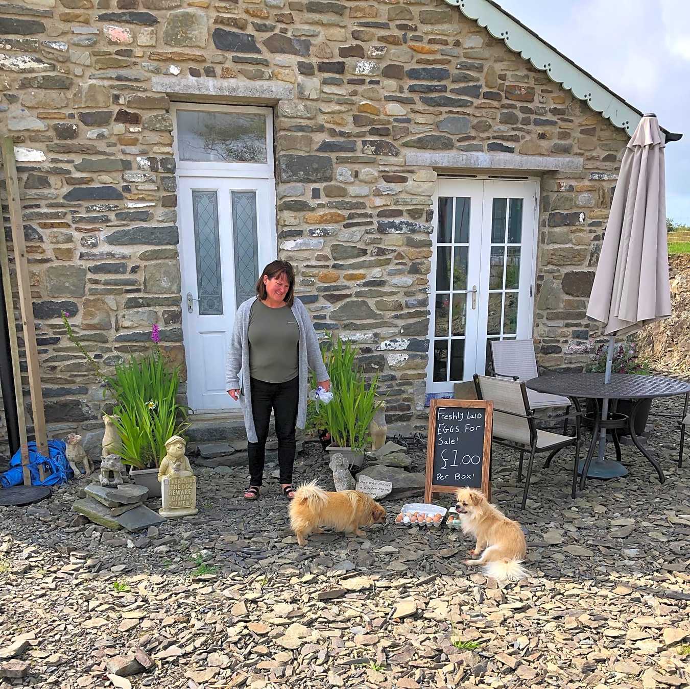 Ffynnonwen Farm Wild Camping