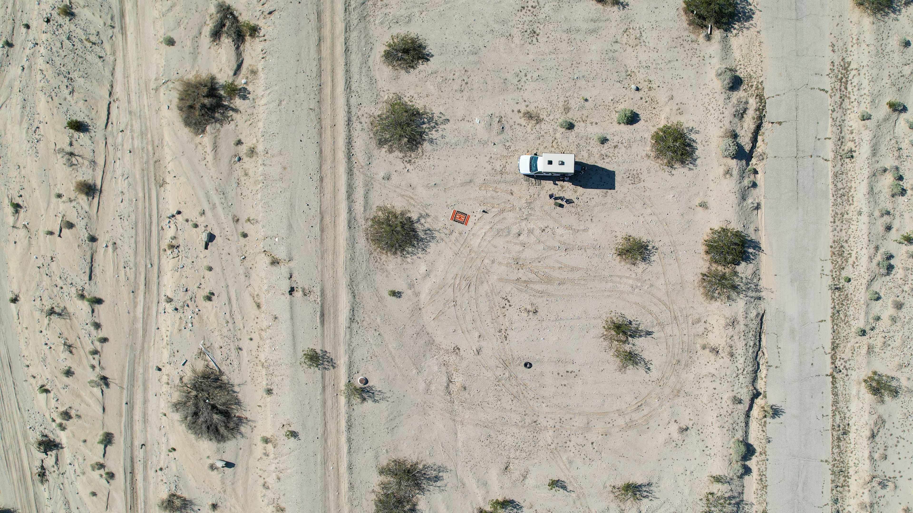 Salton Sea Nymphs