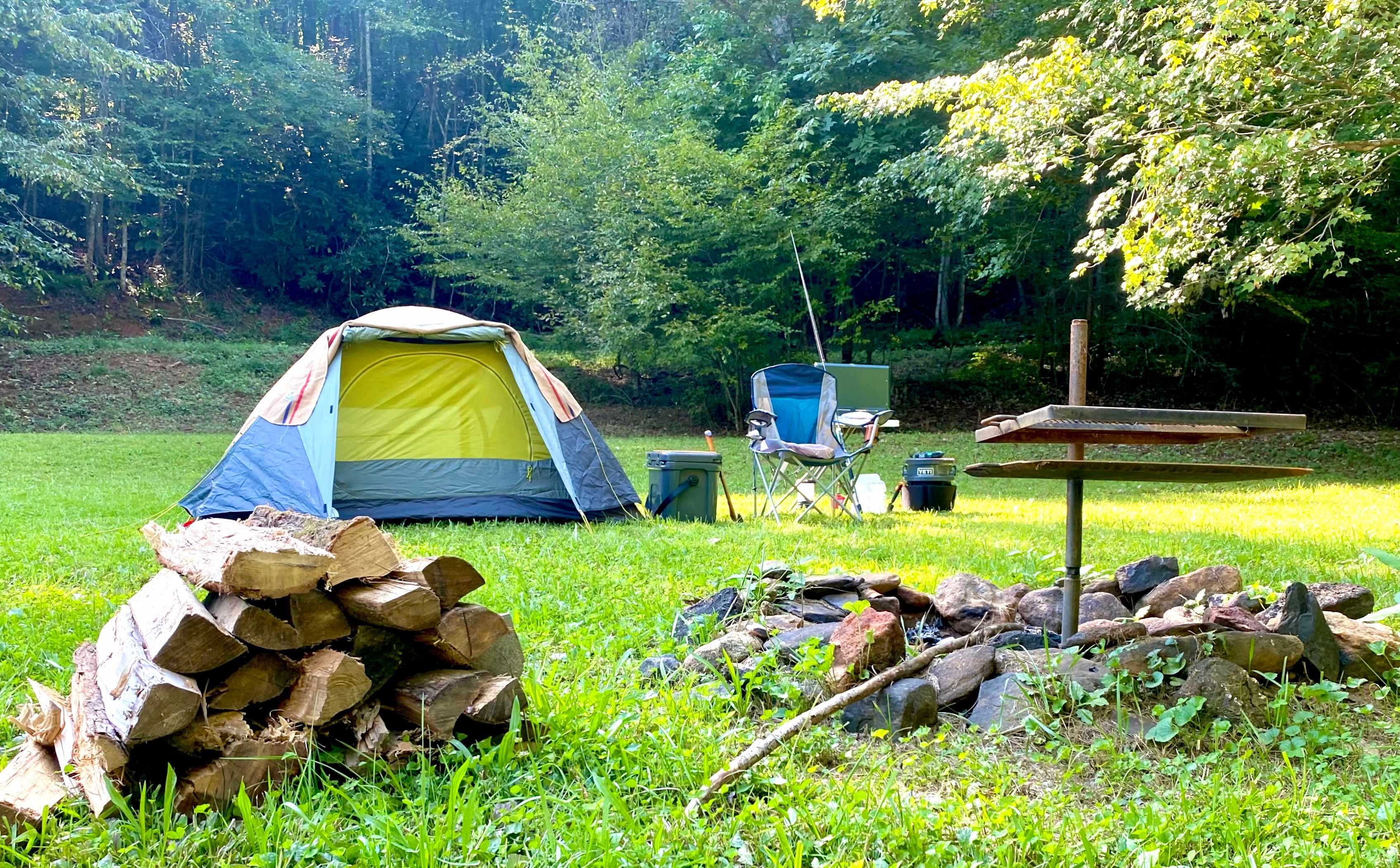 Picture of the site