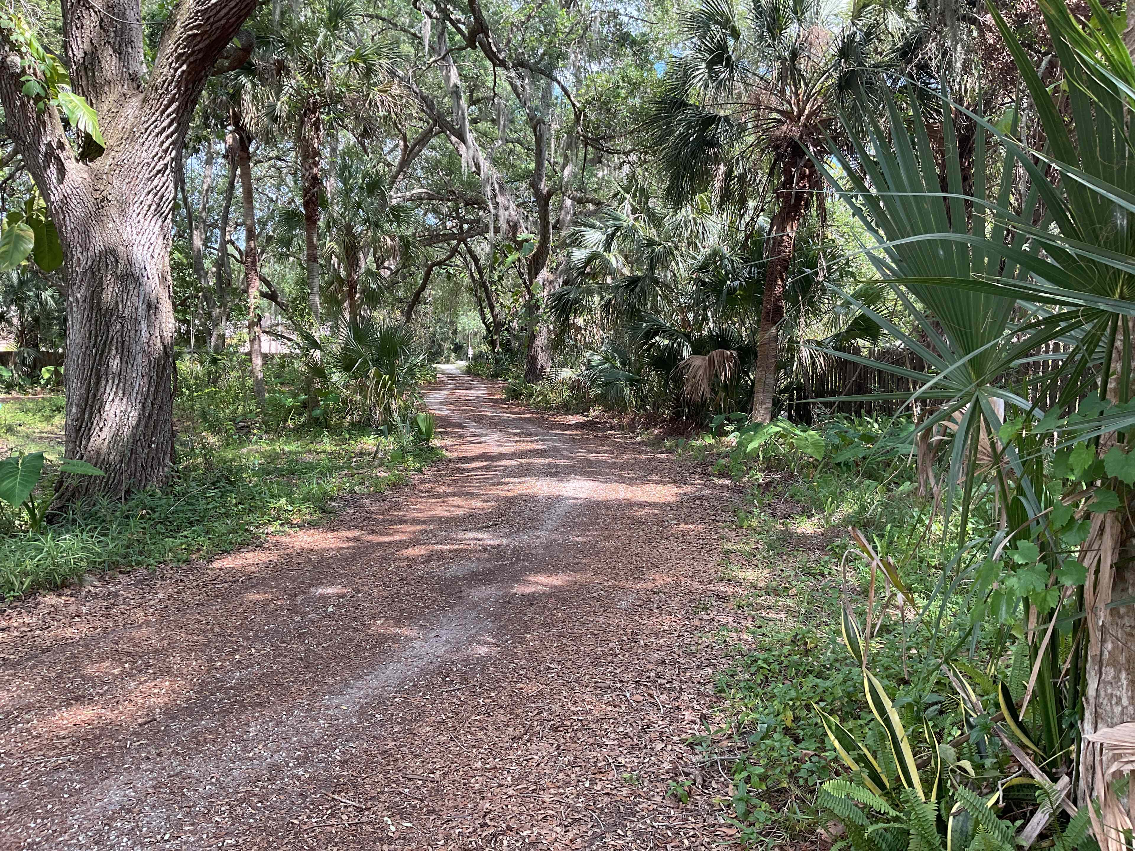 Driveway