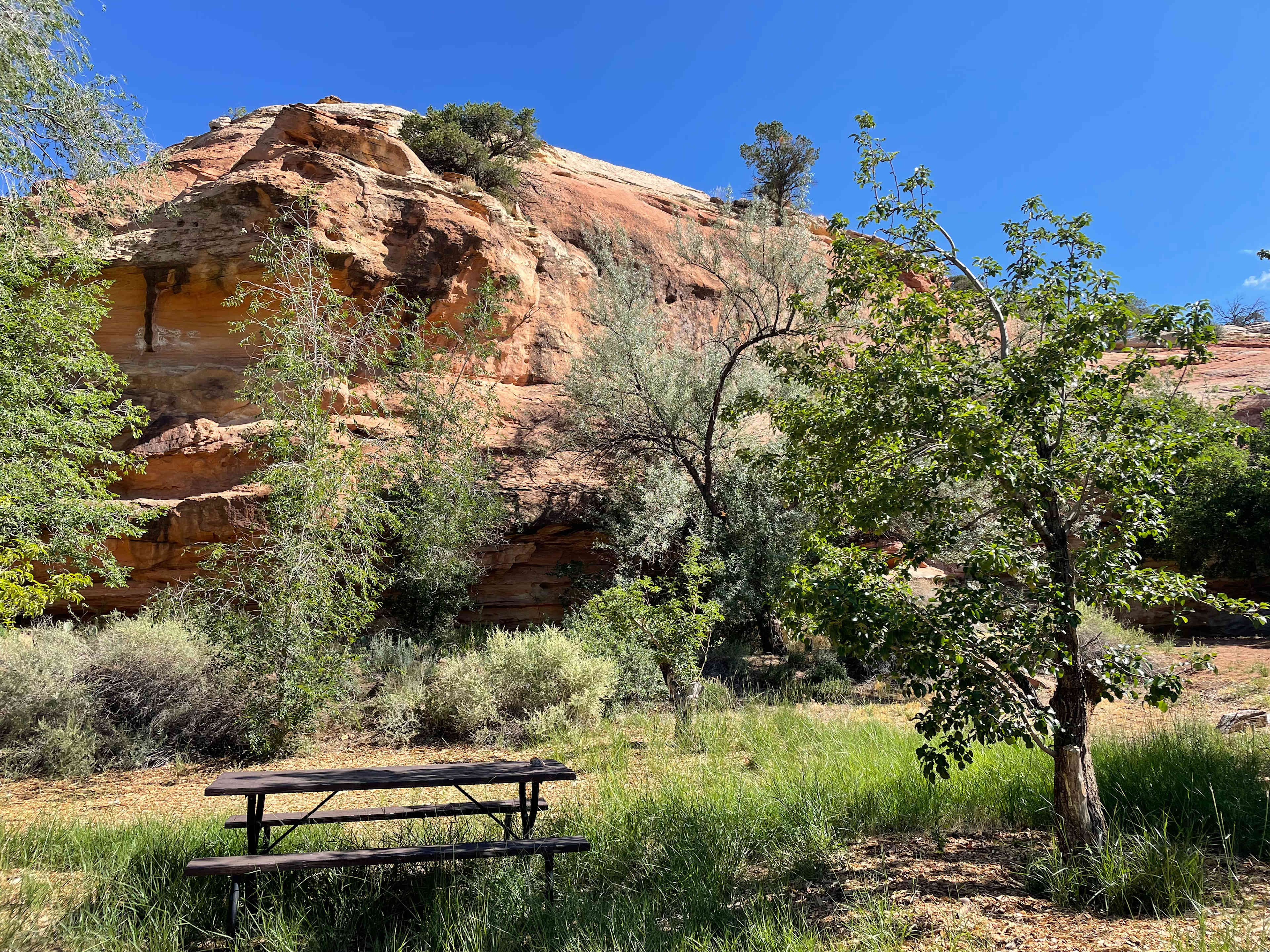 Picture of the site