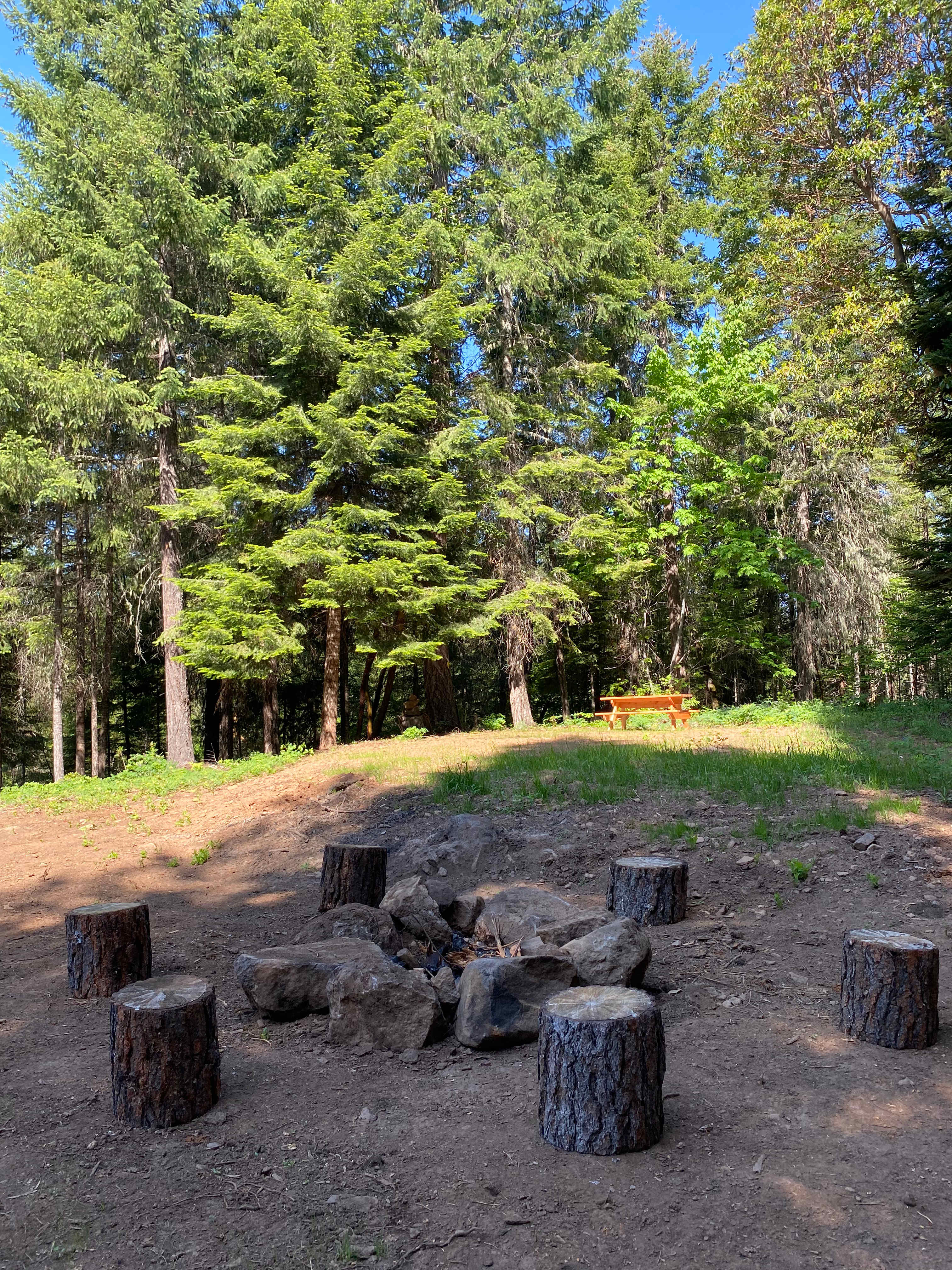 Picture of the site