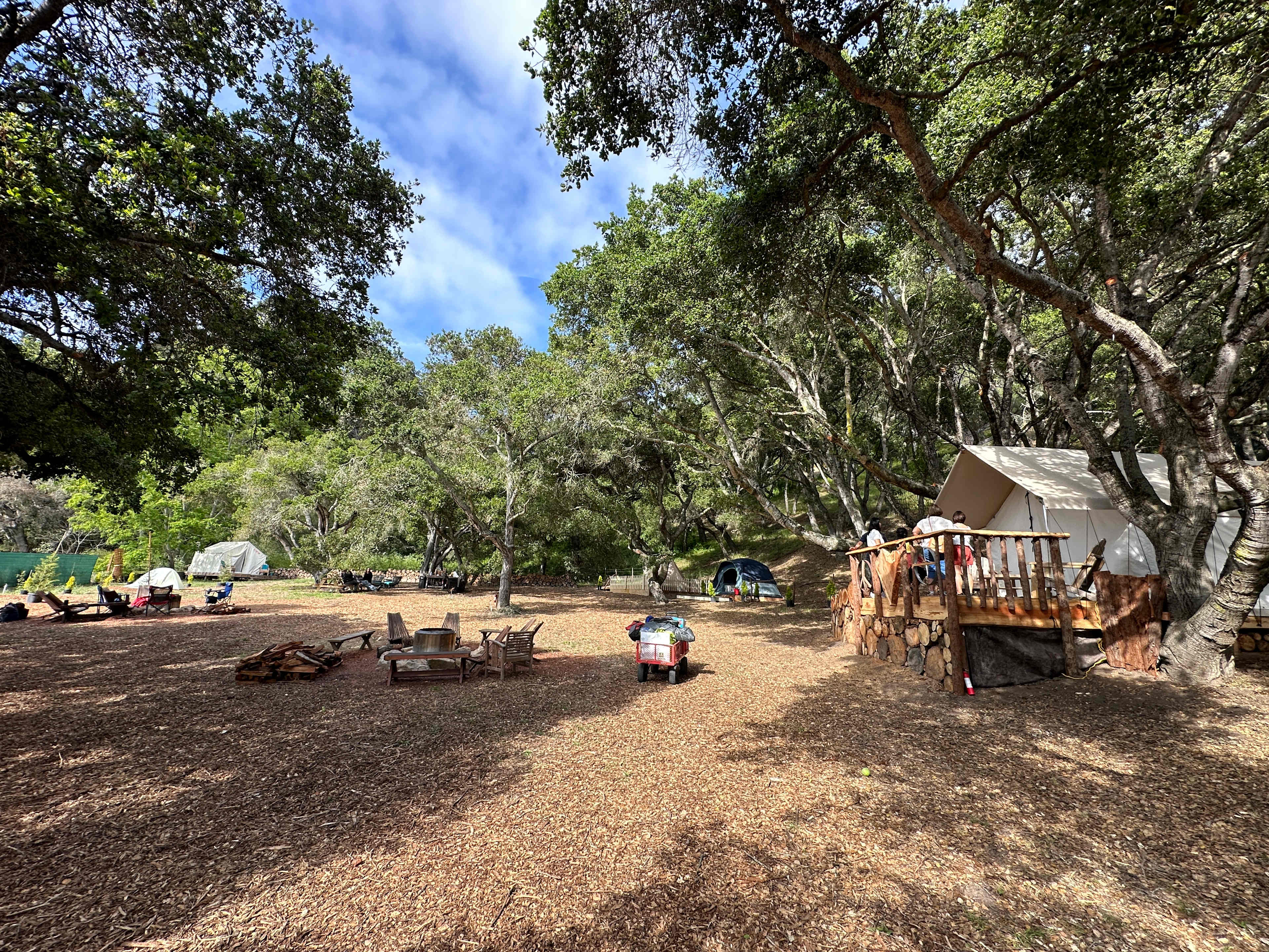 Picture of the site