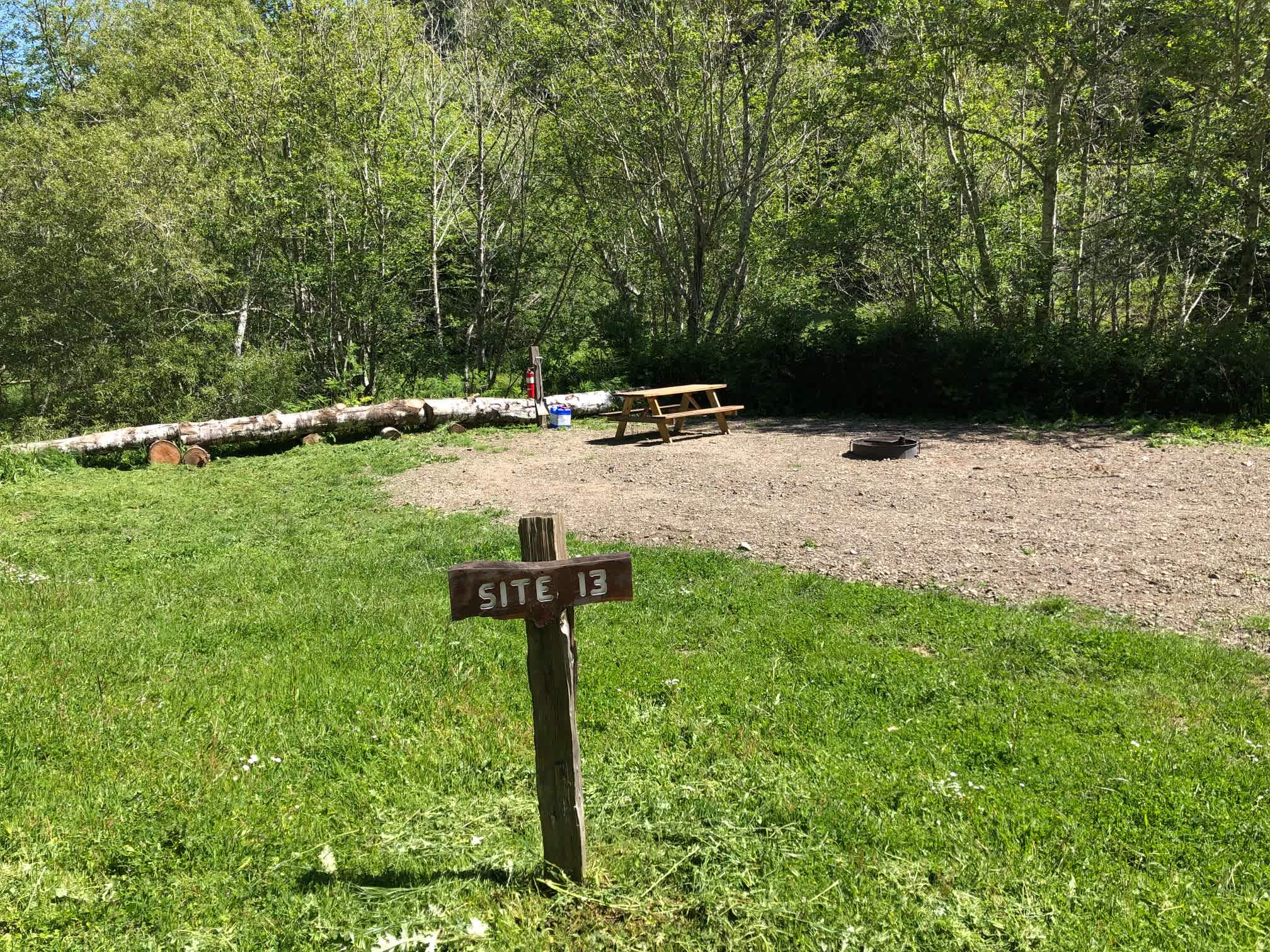 Picture of the site