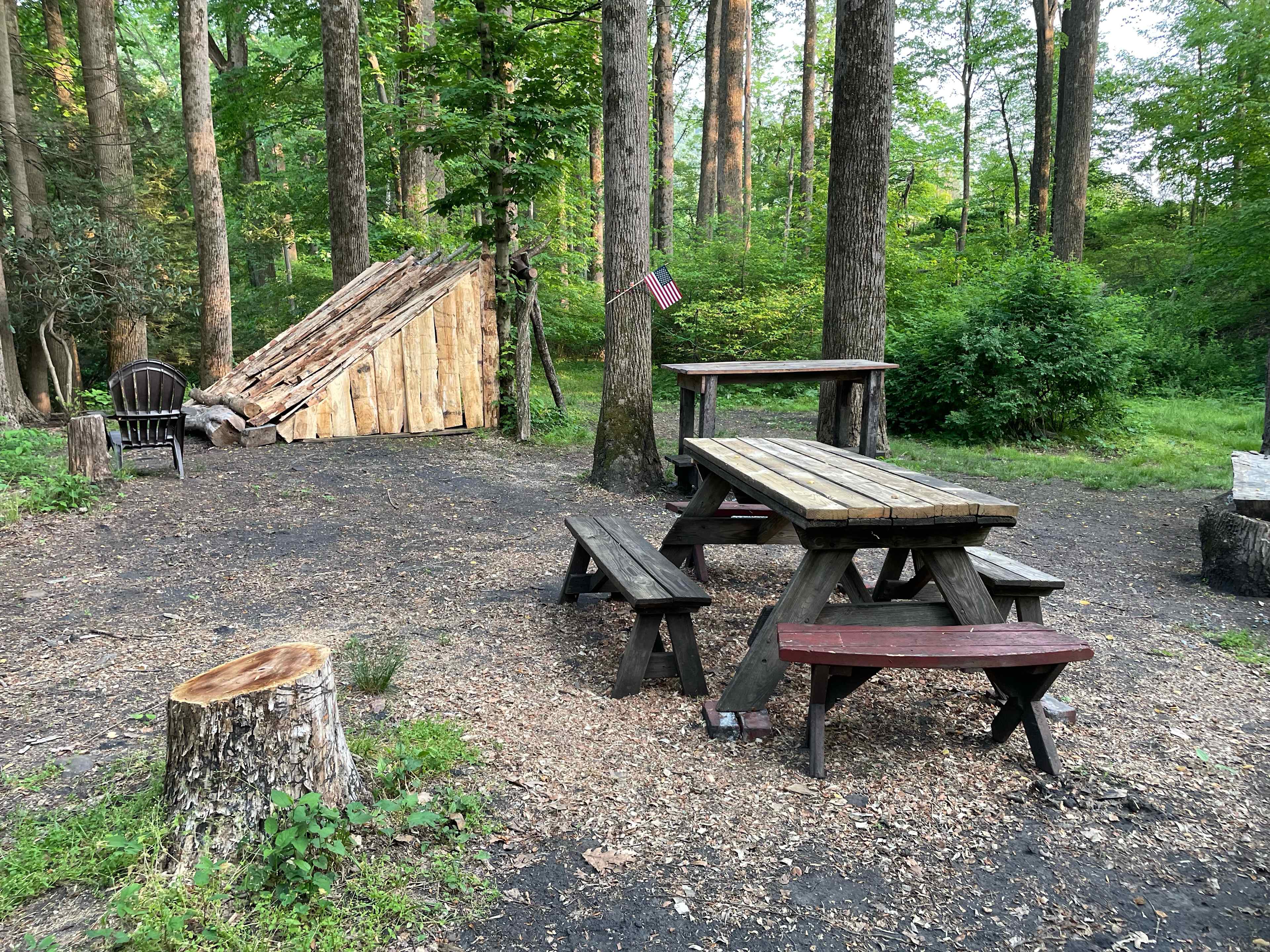 Picture of the site