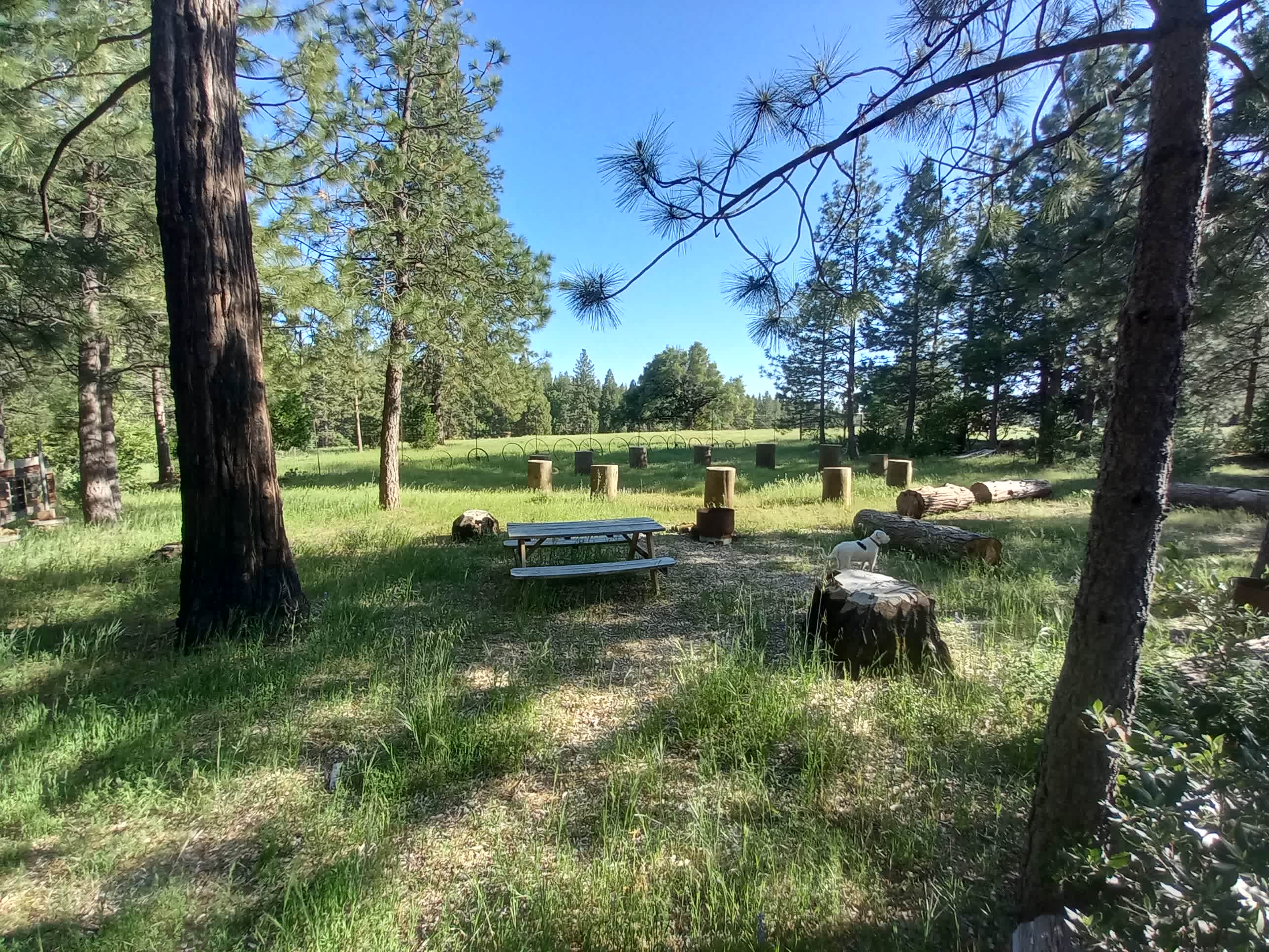Picture of the site