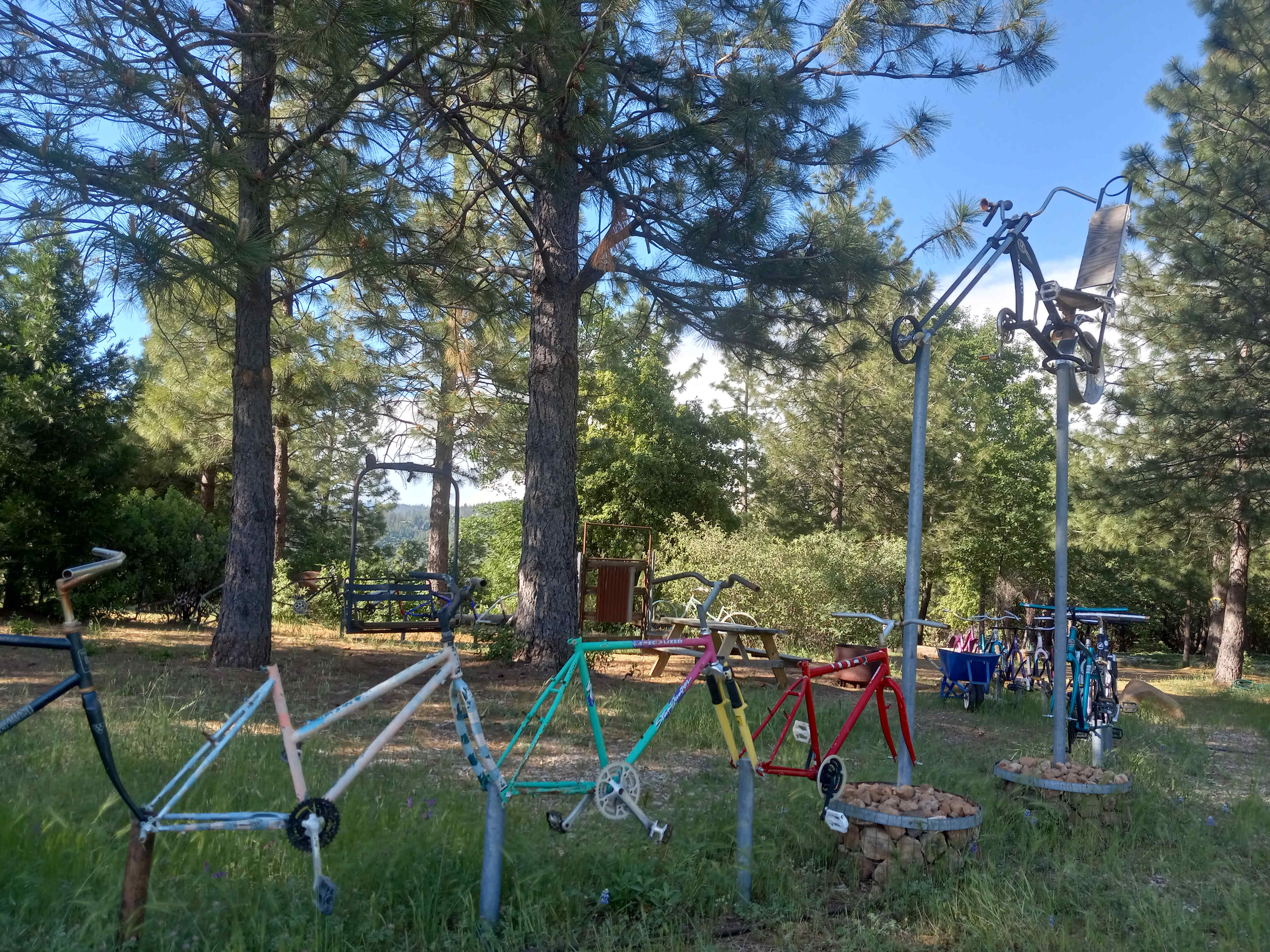 Picture of the site