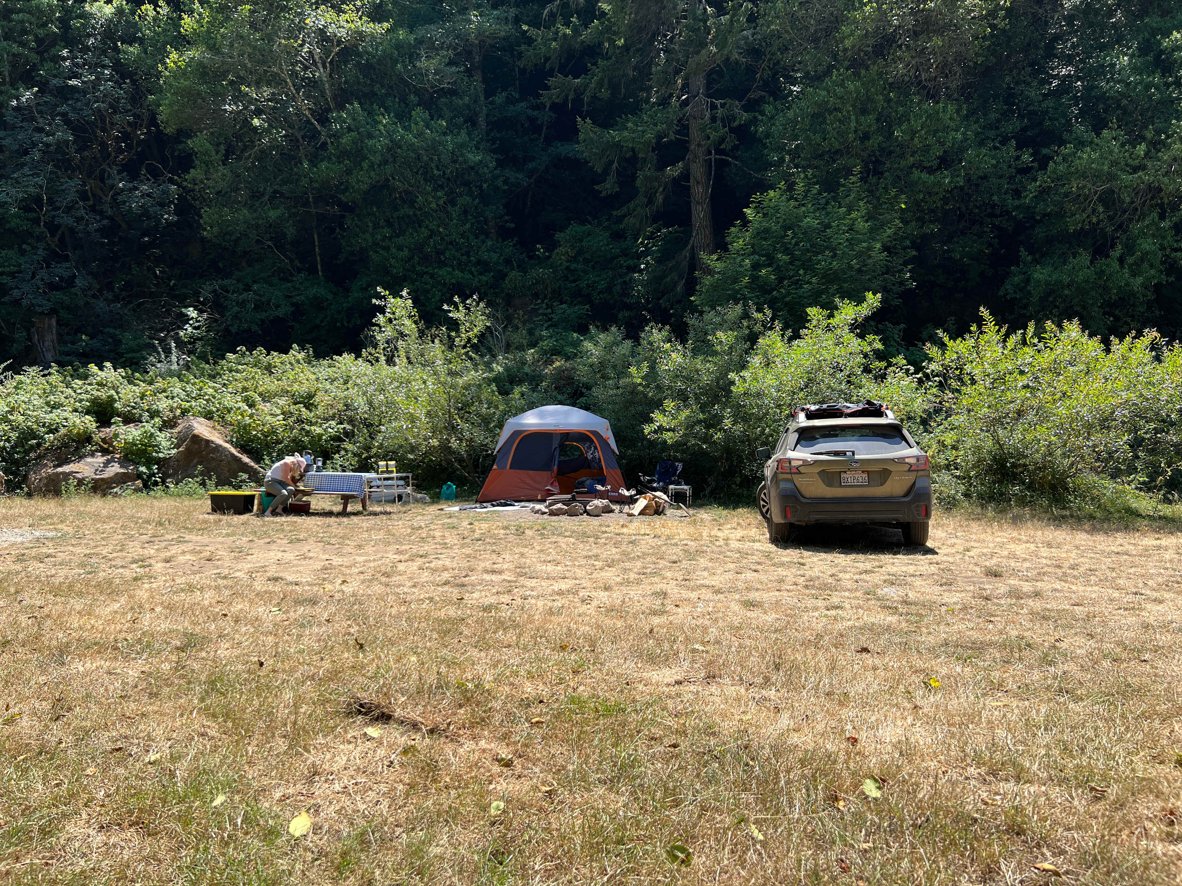 Picture of the site