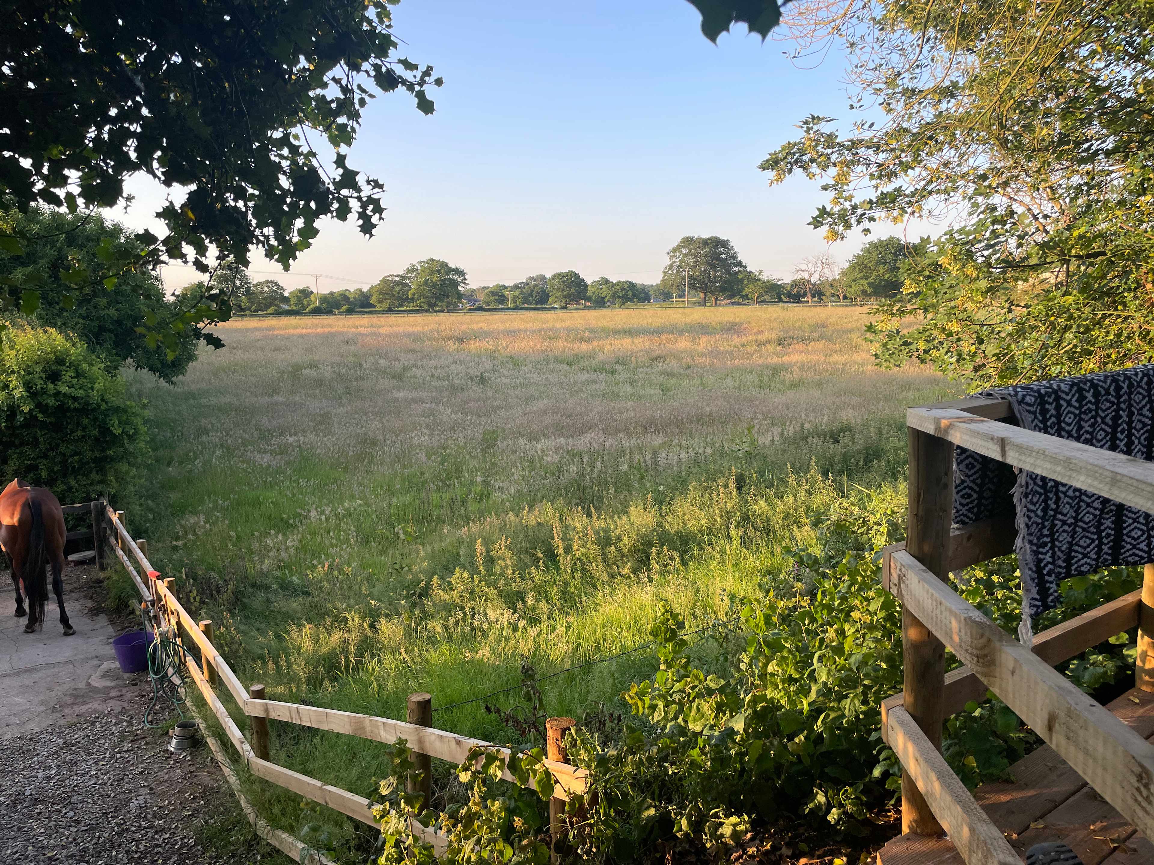 Little Ranch Glamping