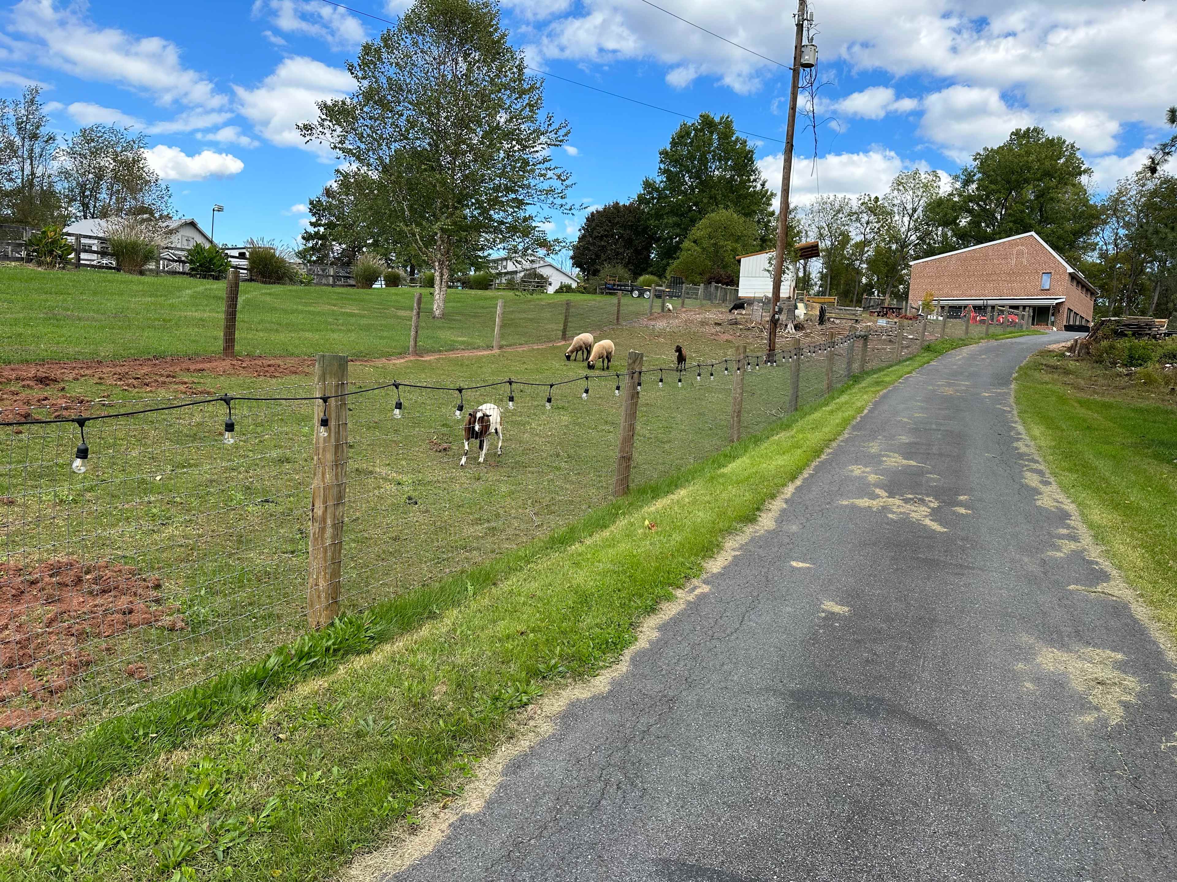 Forever Home Farm Sanctuary