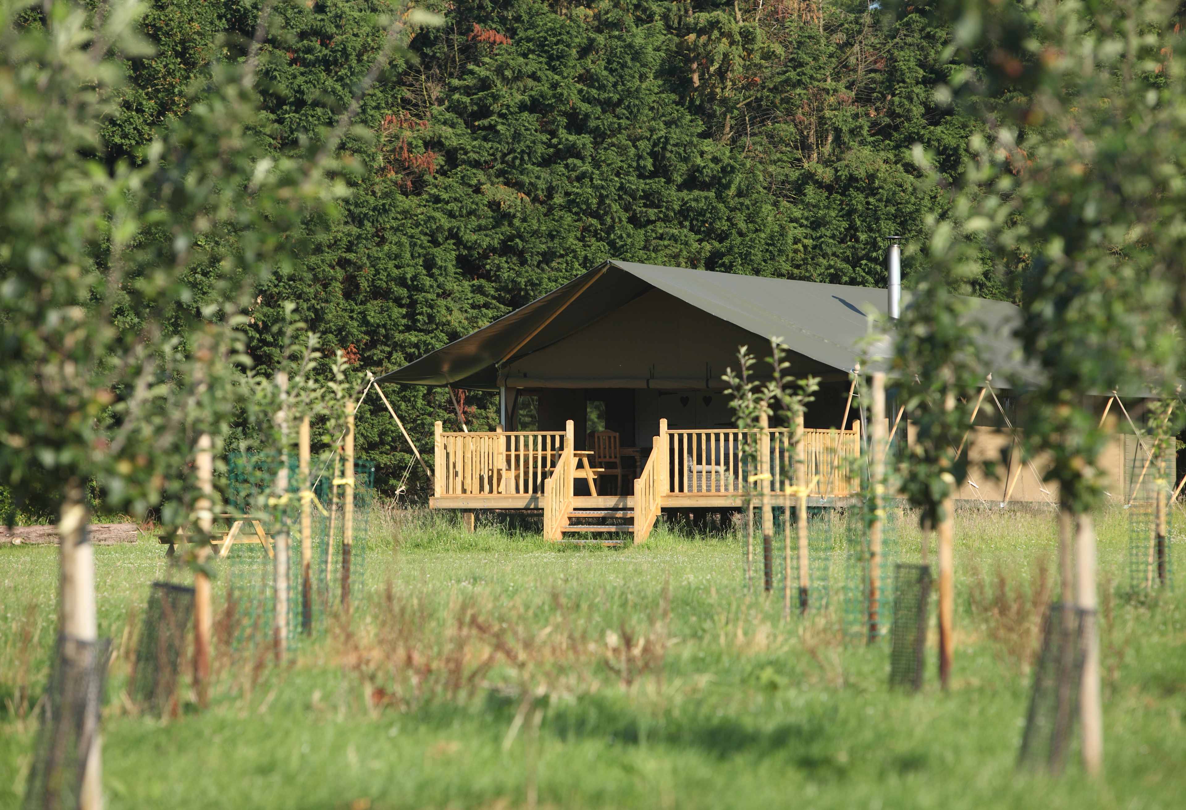 Wild Luxury - Drove Orchards